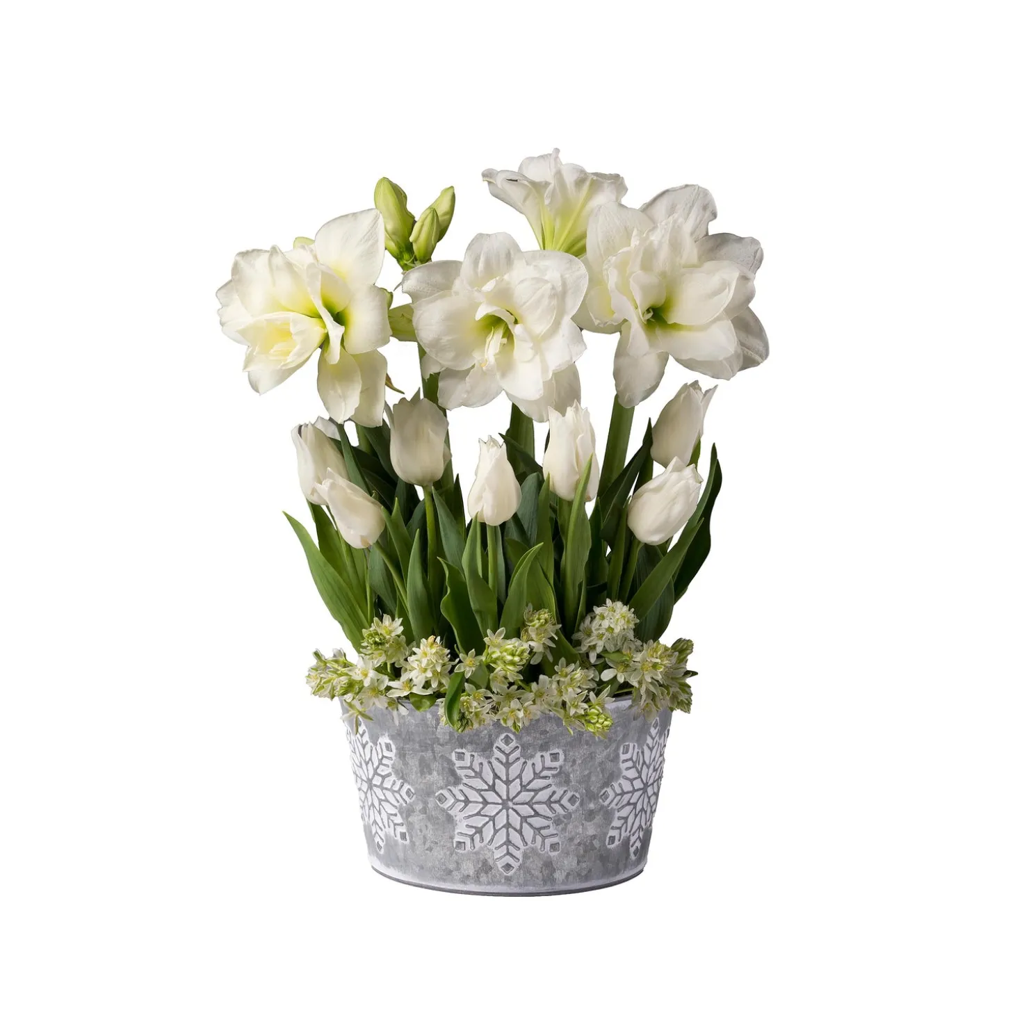 Bulb Gardens & Florals>Plow & Hearth All White Flower Bulb Gift Garden