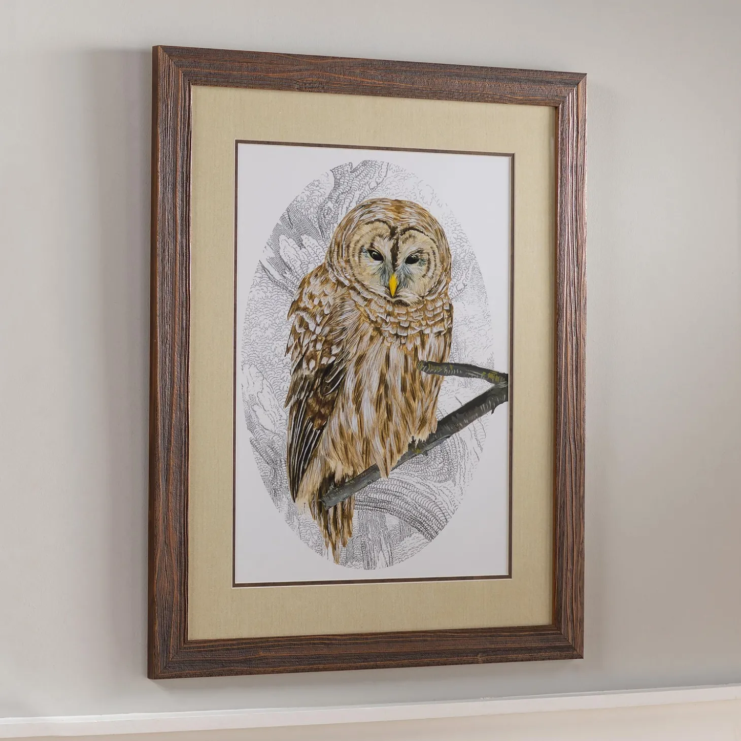 Wall Art>Plow & Hearth Barred Owl I Framed Wall Art Painting