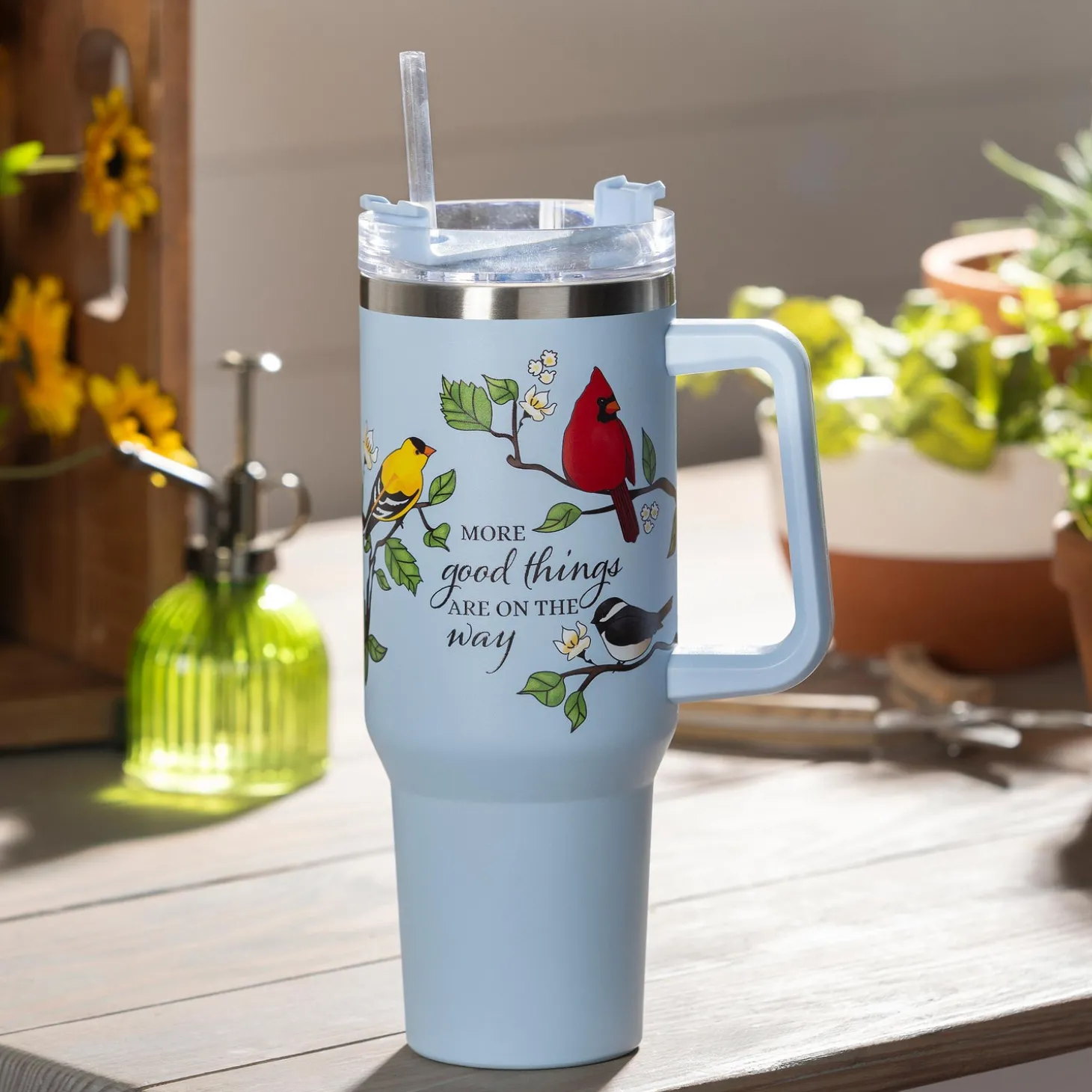 Travel Cups>Plow & Hearth Bird Friends Canyon Cup, Double Wall Stainless Steel w/ Straw, 40oz, Gift Box