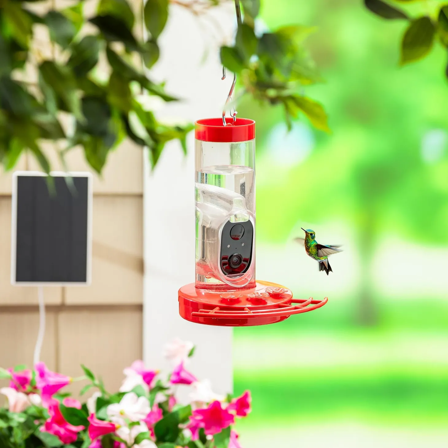 Hummingbird Feeders>Plow & Hearth BirdsIVue Smart Feeder: Solar Hummingbird Feeder