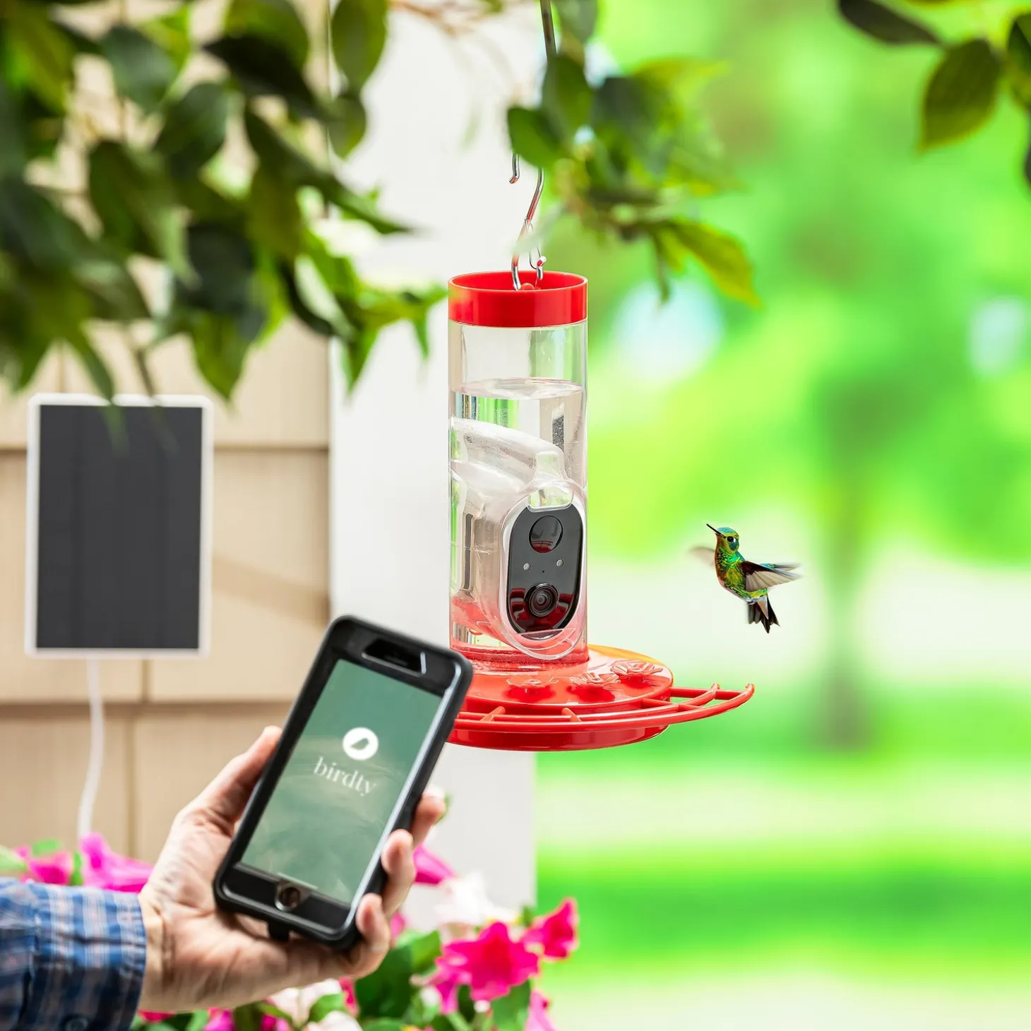 Hummingbird Feeders>Plow & Hearth BirdsIVue Smart Feeder: Solar Hummingbird Feeder