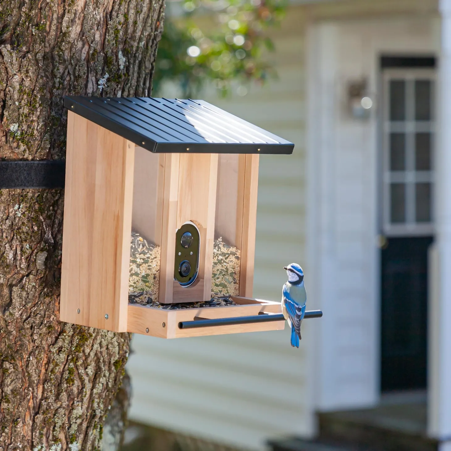 Bird Feeders>Plow & Hearth BirdsIVue Smart Feeder: Solar Wooden Bird Feeder