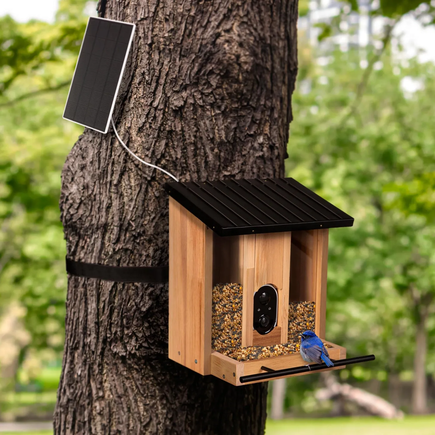 Bird Feeders>Plow & Hearth BirdsIVue Smart Feeder: Solar Wooden Bird Feeder