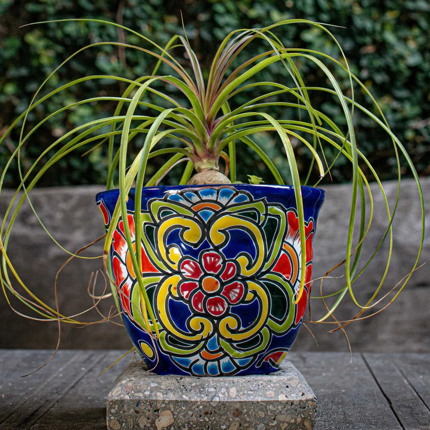 Planters & Plant Stands>Plow & Hearth Blue Floral Talavera Planter, Medium