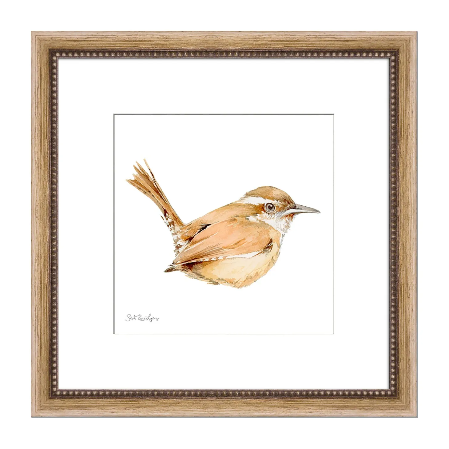 Wall Art>Plow & Hearth Carolina Wren Framed Wall Art Painting