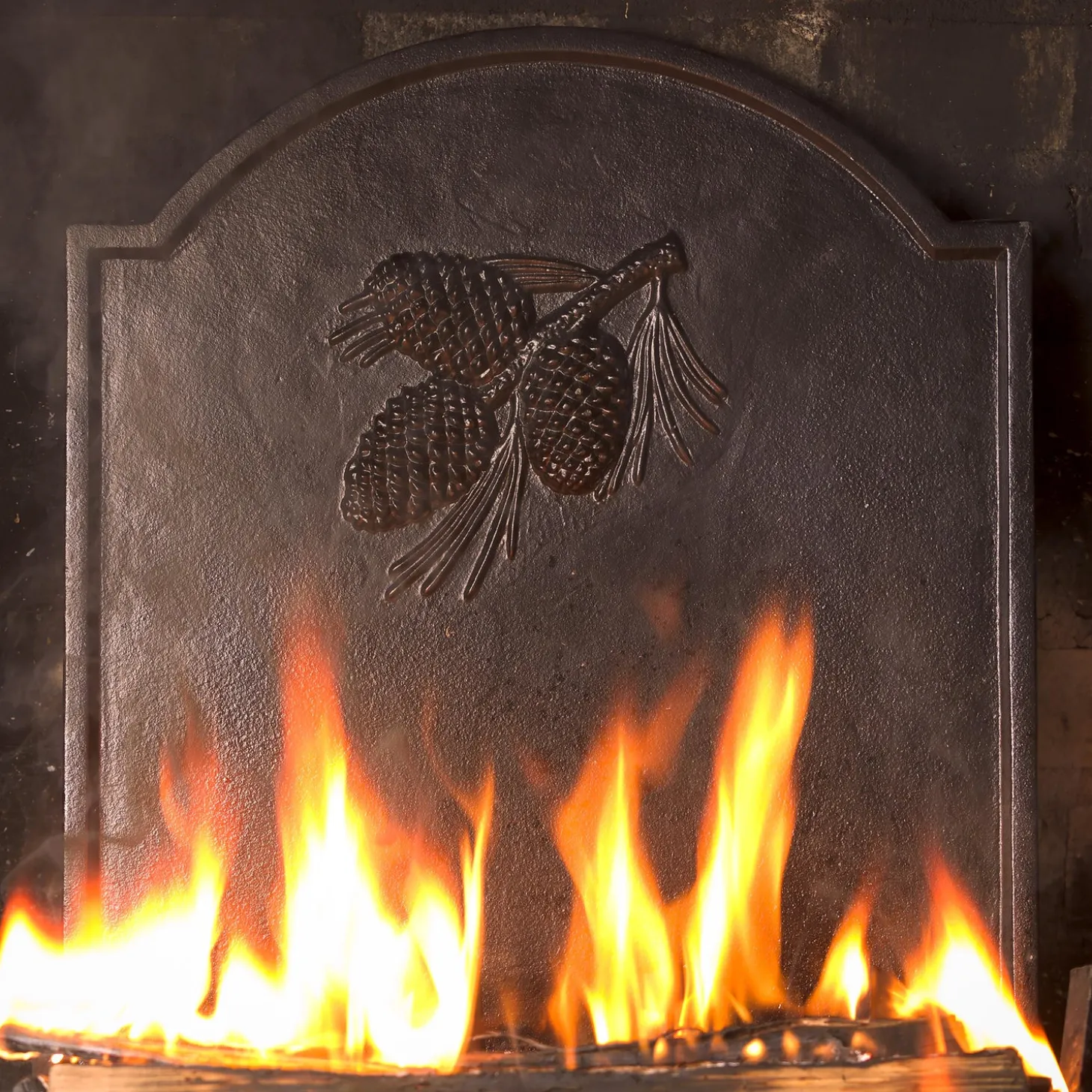 Fireplace Grates & Firebacks>Plow & Hearth Cast Iron Fireback with Pine Cone Design