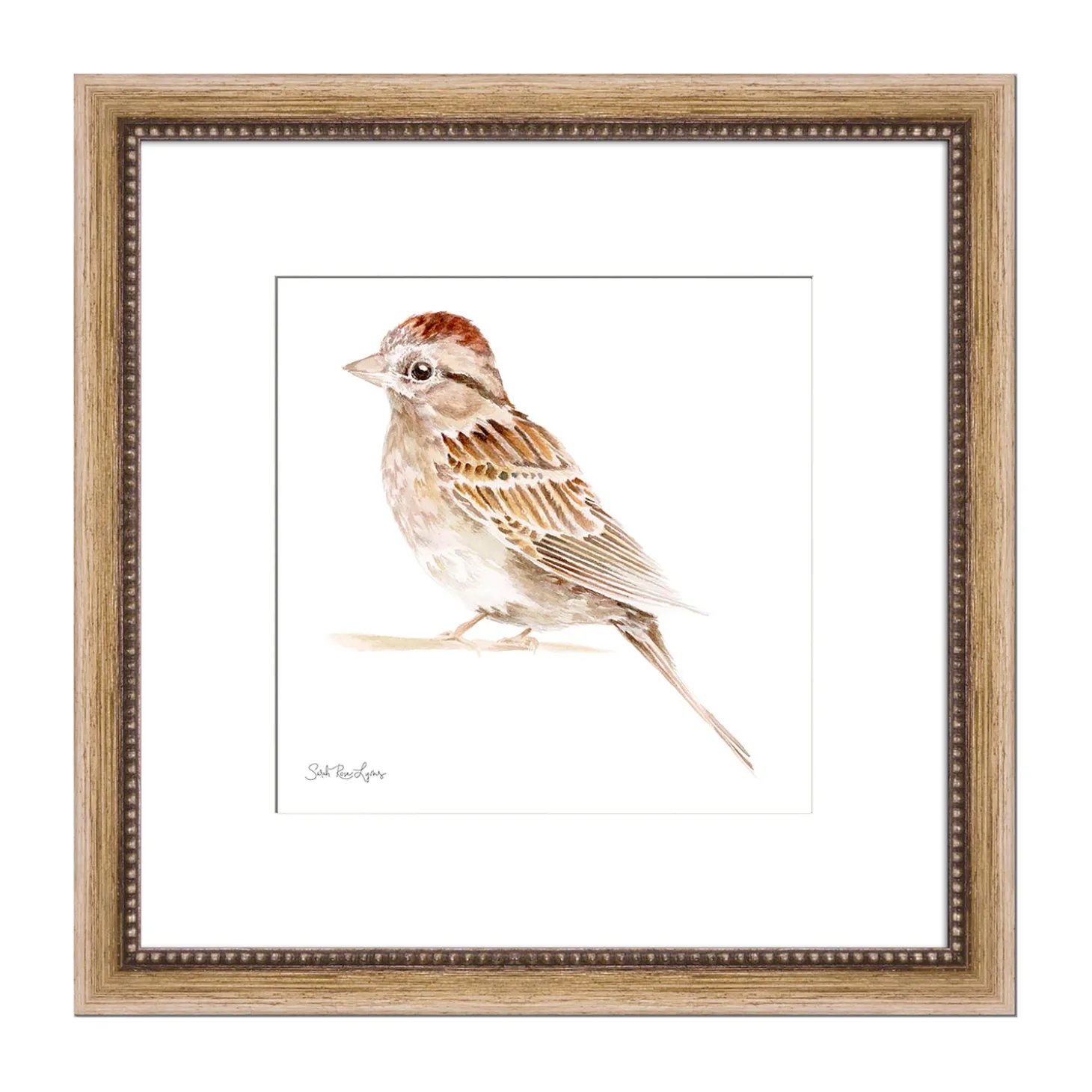 Wall Art>Plow & Hearth Chipping Sparrow Framed Wall Art Painting