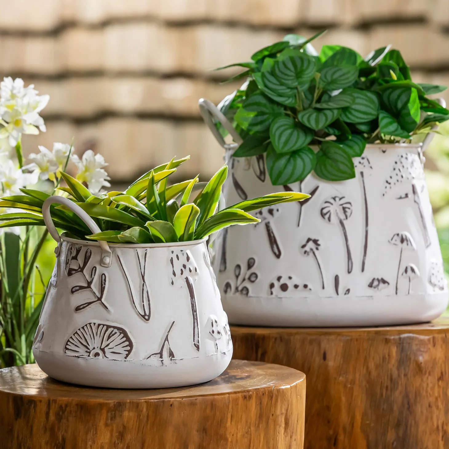 Planters & Plant Stands>Plow & Hearth Embossed Mushrooms Planter with Handles, Nested Set of 2