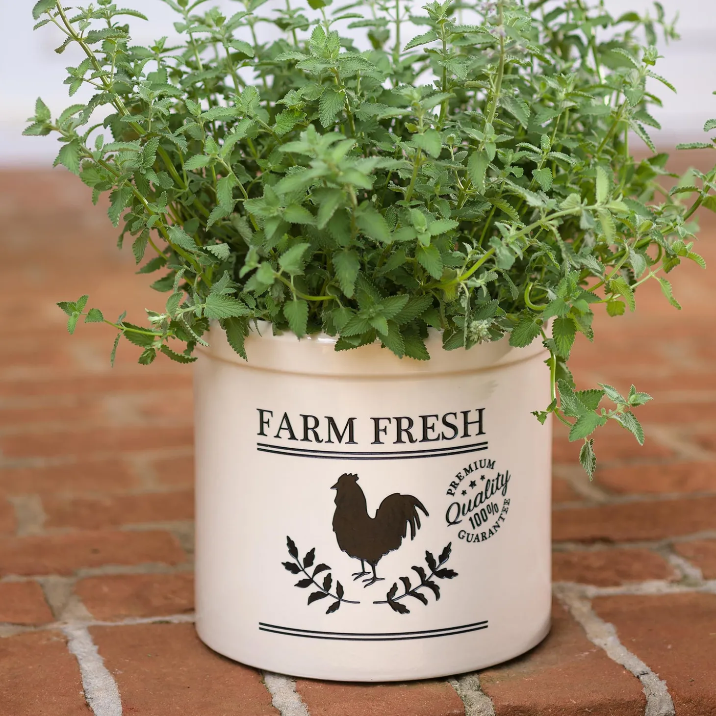 Planters & Plant Stands>Plow & Hearth Farm Fresh Rooster Stoneware Crock