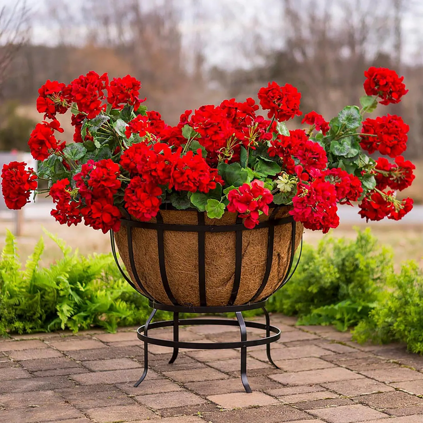 Planters & Plant Stands>Plow & Hearth Footed Metal Basket Planter with Coco Liner