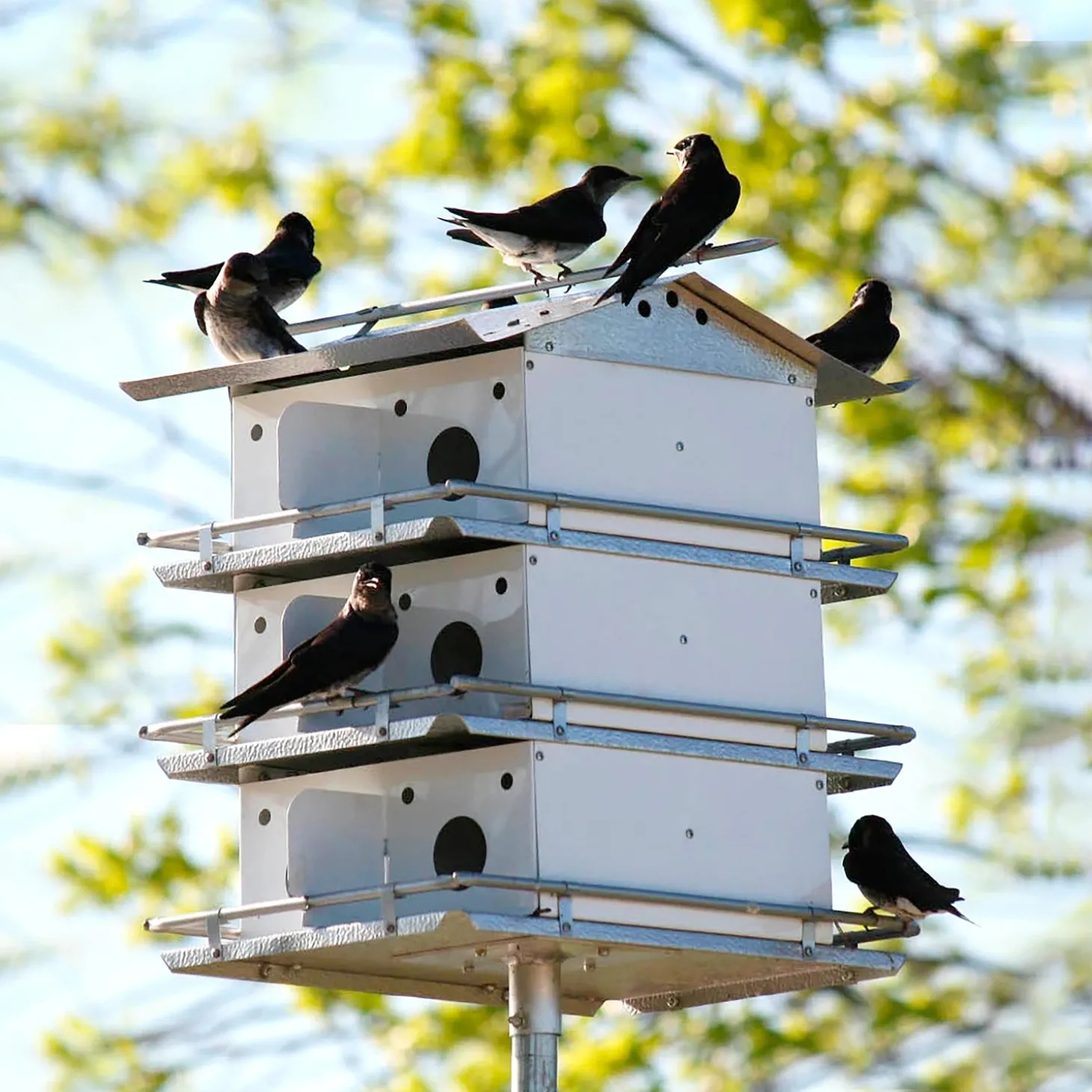 Birdhouses>Plow & Hearth Fully-Assembled 12-Room Purple Martin Birdhouse