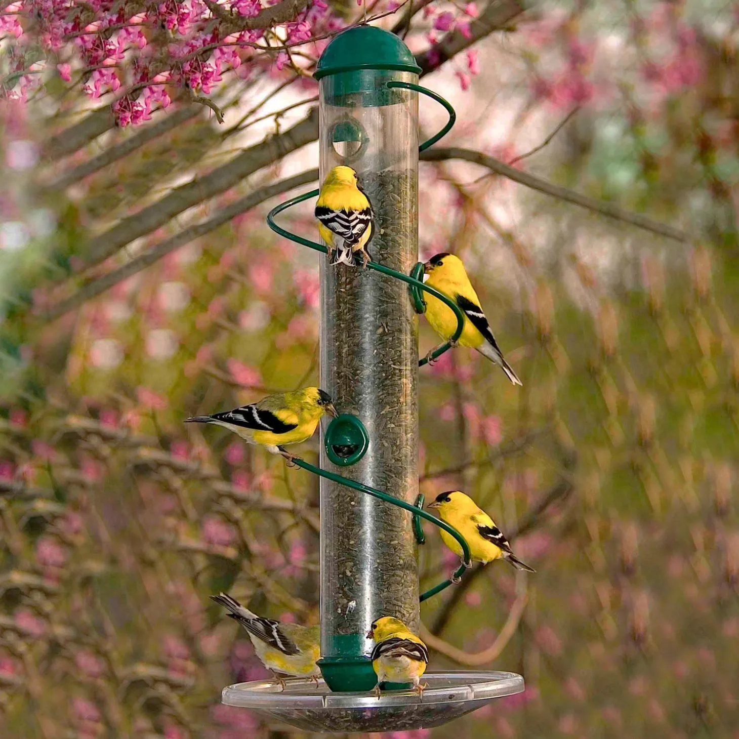 Bird Feeders>Plow & Hearth Spiral-Perch Finch Bird Feeder Green