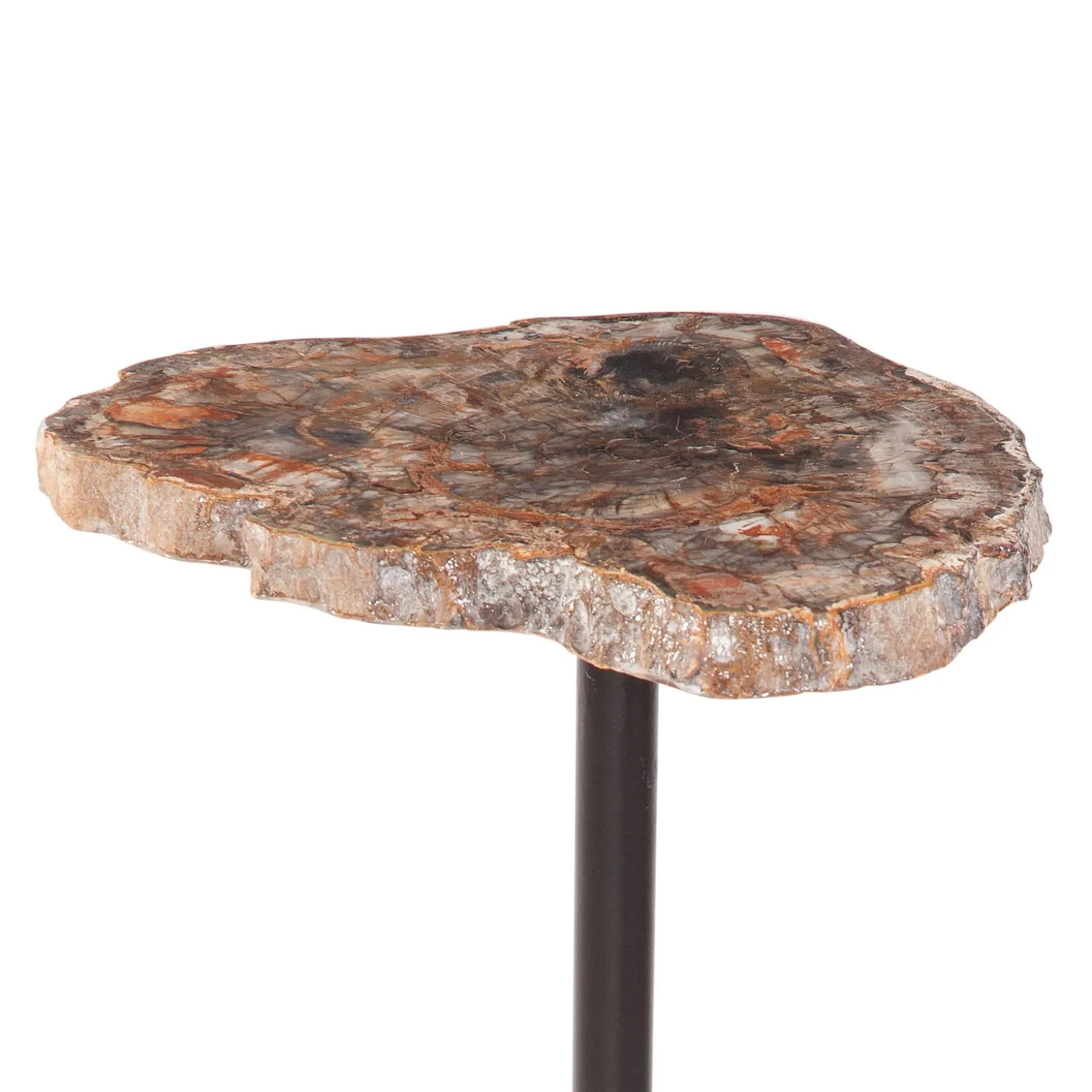 Accent Tables>Plow & Hearth Henrietta Petrified Wood Accent Table