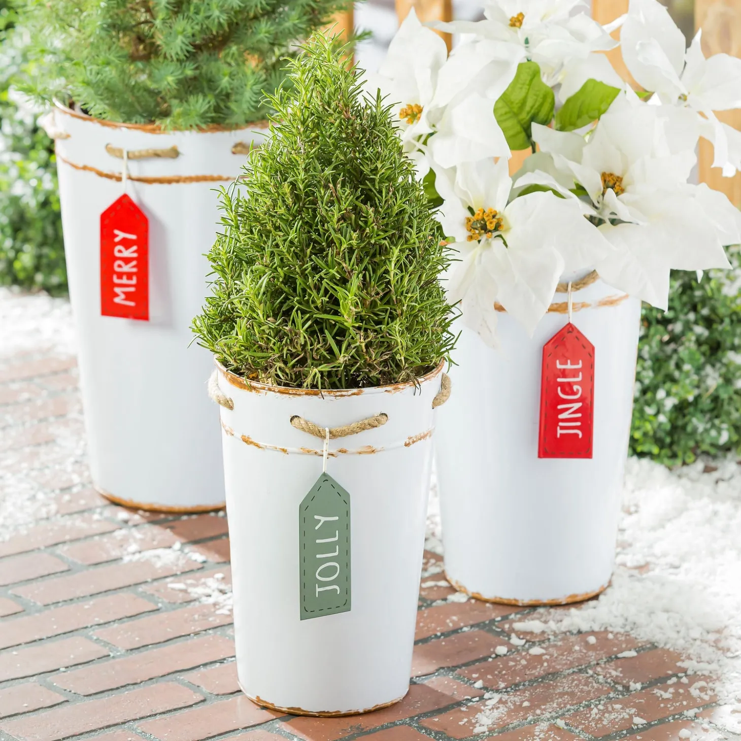 Planters & Plant Stands>Plow & Hearth Holiday Poinsettia Planter, French Bucket with Holiday Tag, Set of 3
