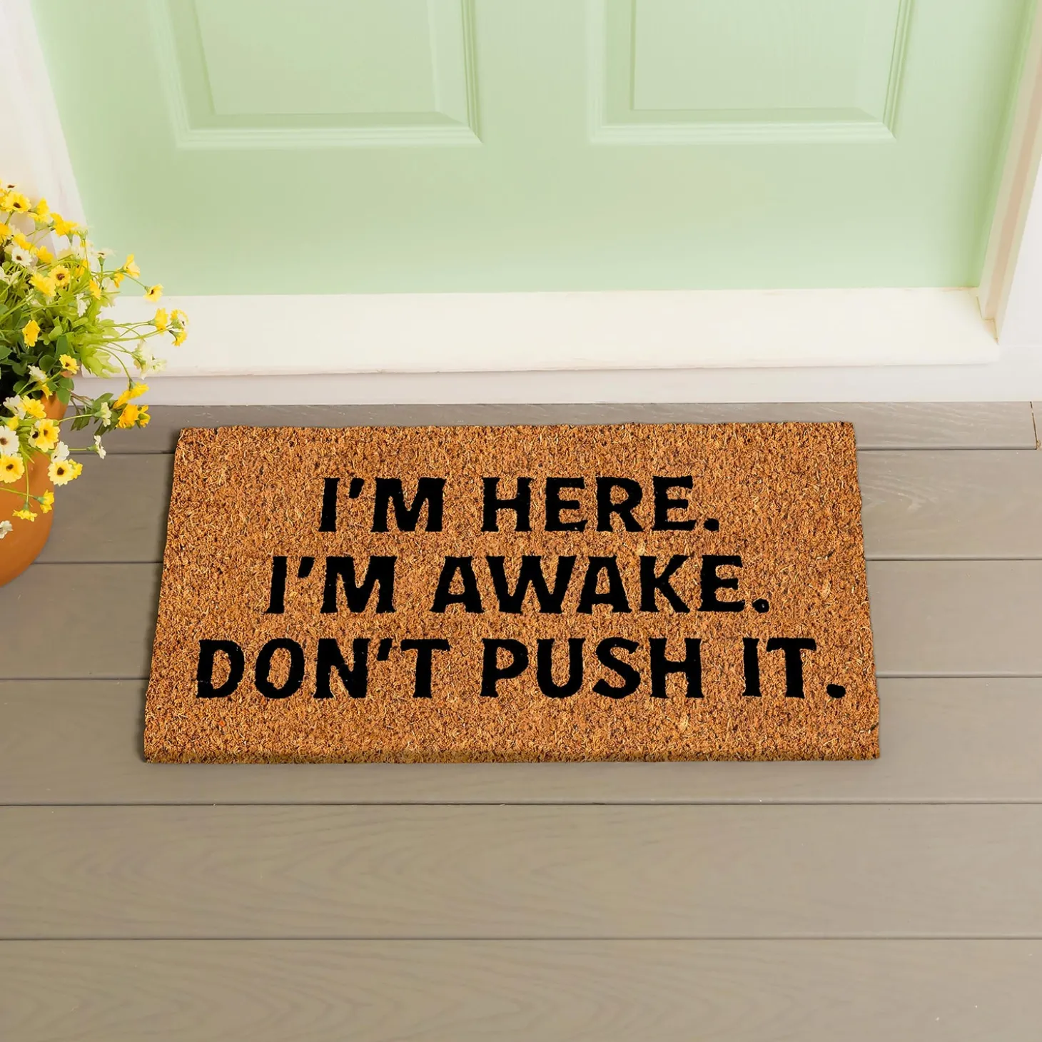 Coir Mats>Plow & Hearth I'm Here. I'm Awake. Coir Mat