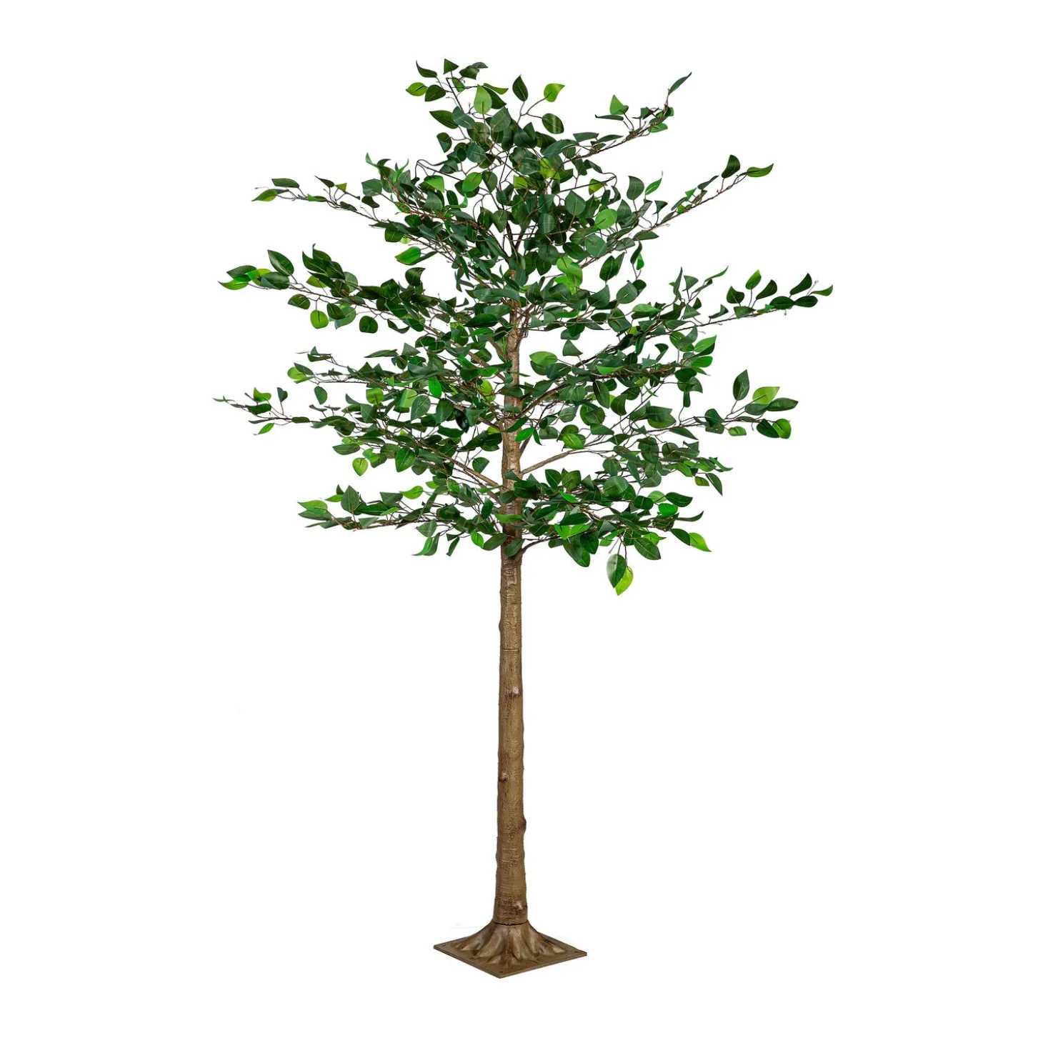 Lighted Trees & Garlands>Plow & Hearth Indoor/Outdoor LED Ficus Tree 6'