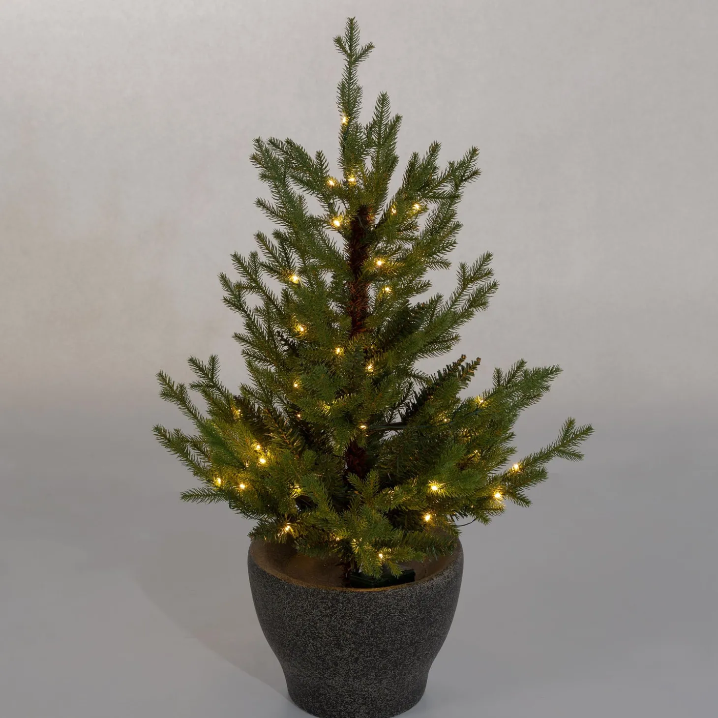 Lighted Trees & Garlands>Plow & Hearth Indoor/Outdoor Roanoke Spruce Potted Tree with Warm White LEDs