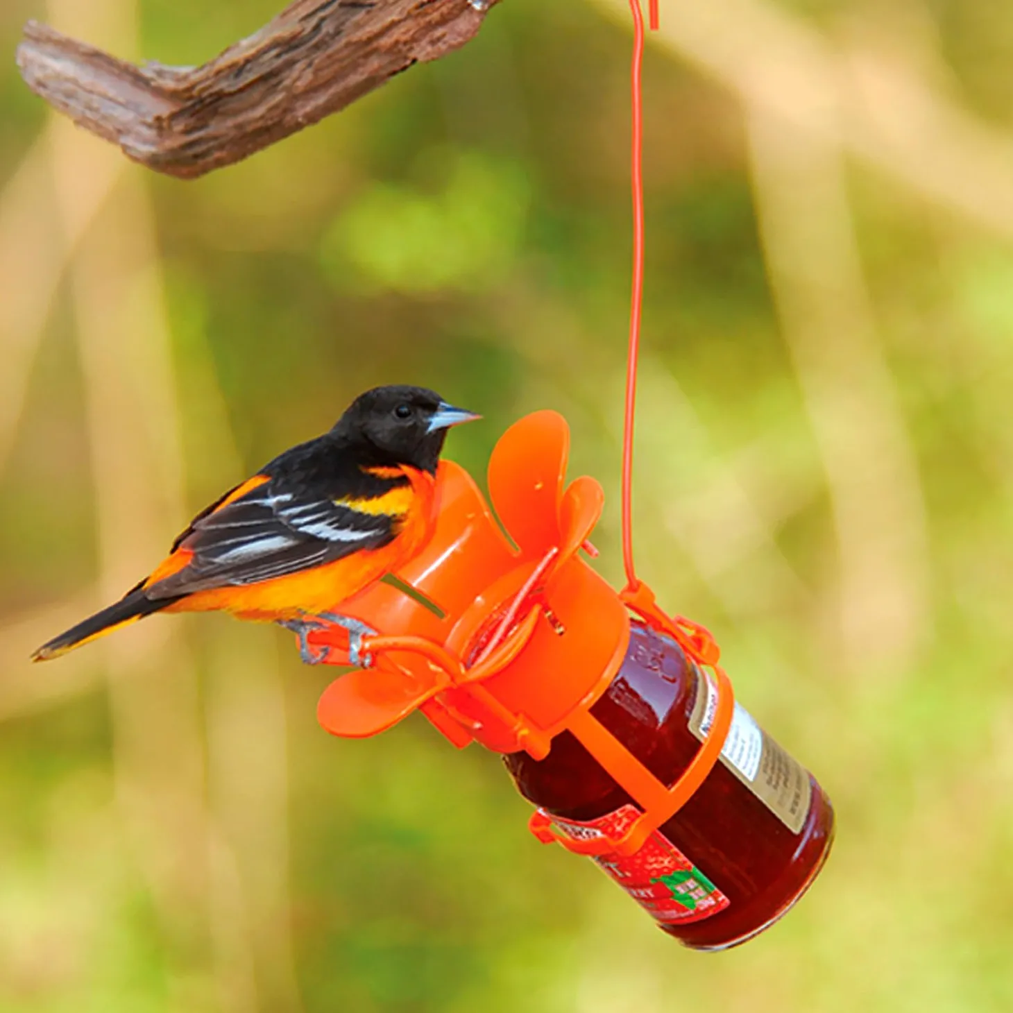 Bird Feeders>Plow & Hearth Jelly/Jam Jar Oriole Bird Feeder