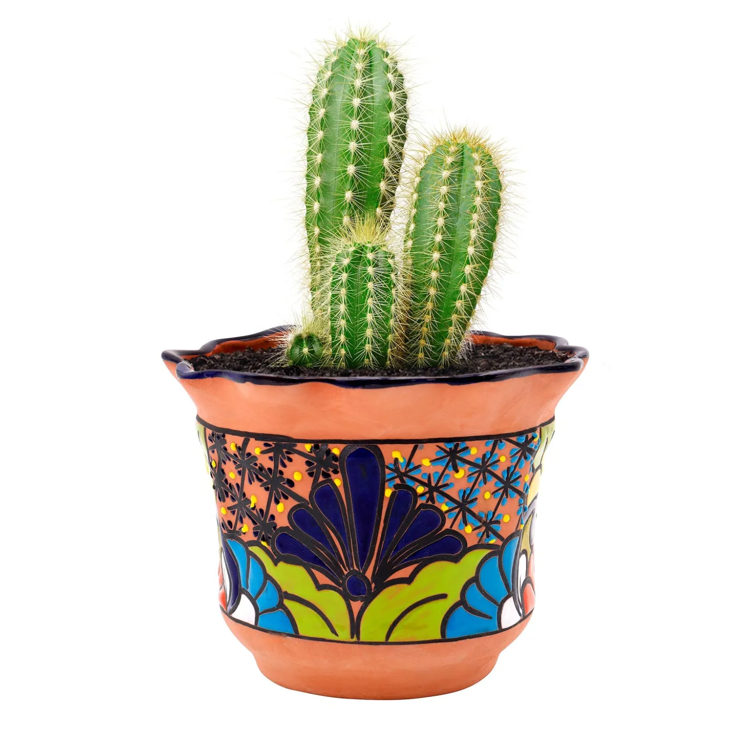 Planters & Plant Stands>Plow & Hearth Medium Ripple Rim Talavera Flower Pot