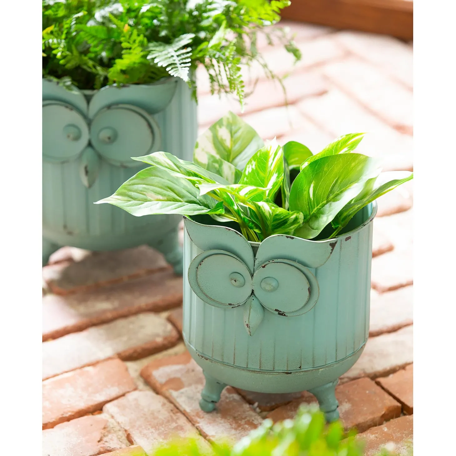 Planters & Plant Stands>Plow & Hearth Metal Owl Planter Set of 2