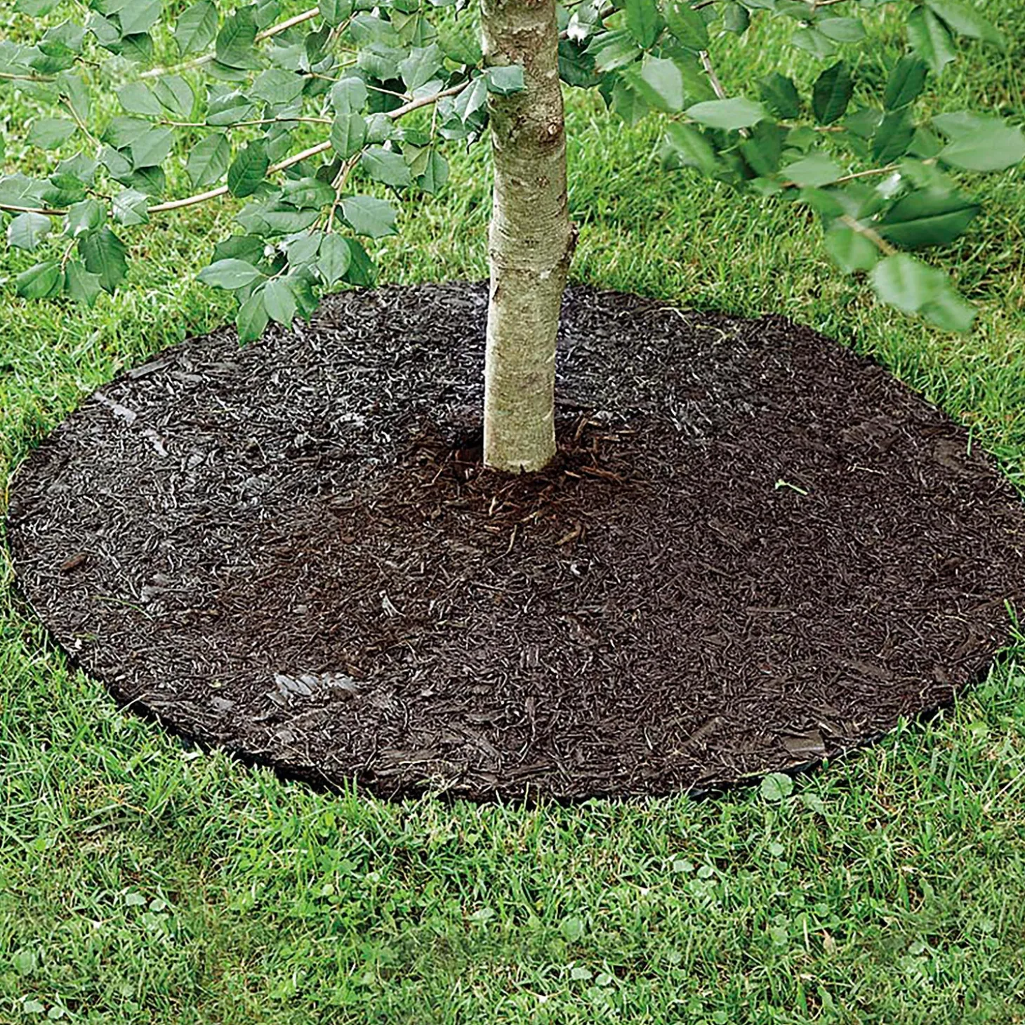 Garden Fencing & Edging | Garden Tools & Supplies>Plow & Hearth Permanent Mulch Recycled Rubber Tree Ring, 24" dia.