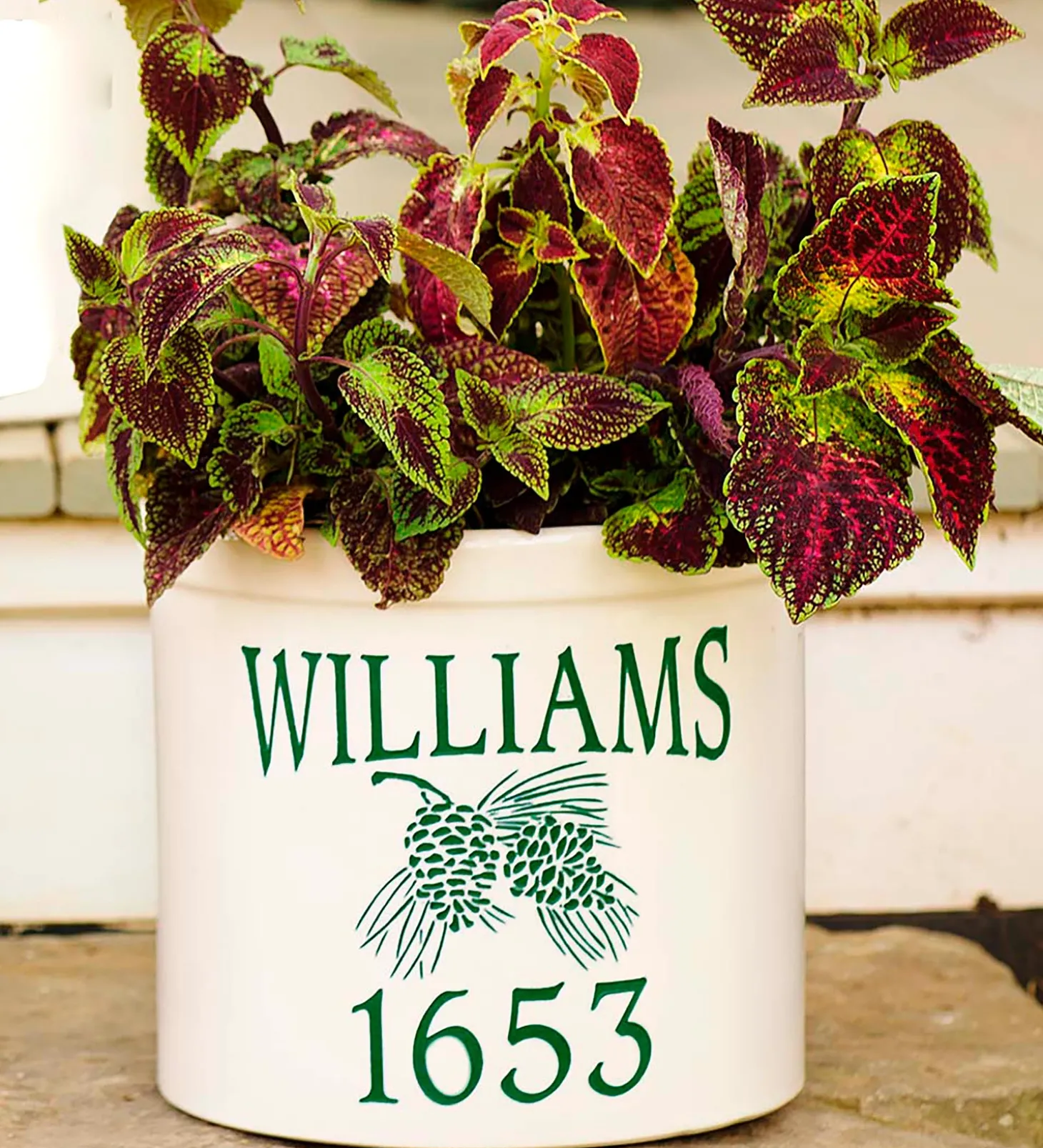 Planters & Vases>Plow & Hearth Personalized Pine Cone Crock