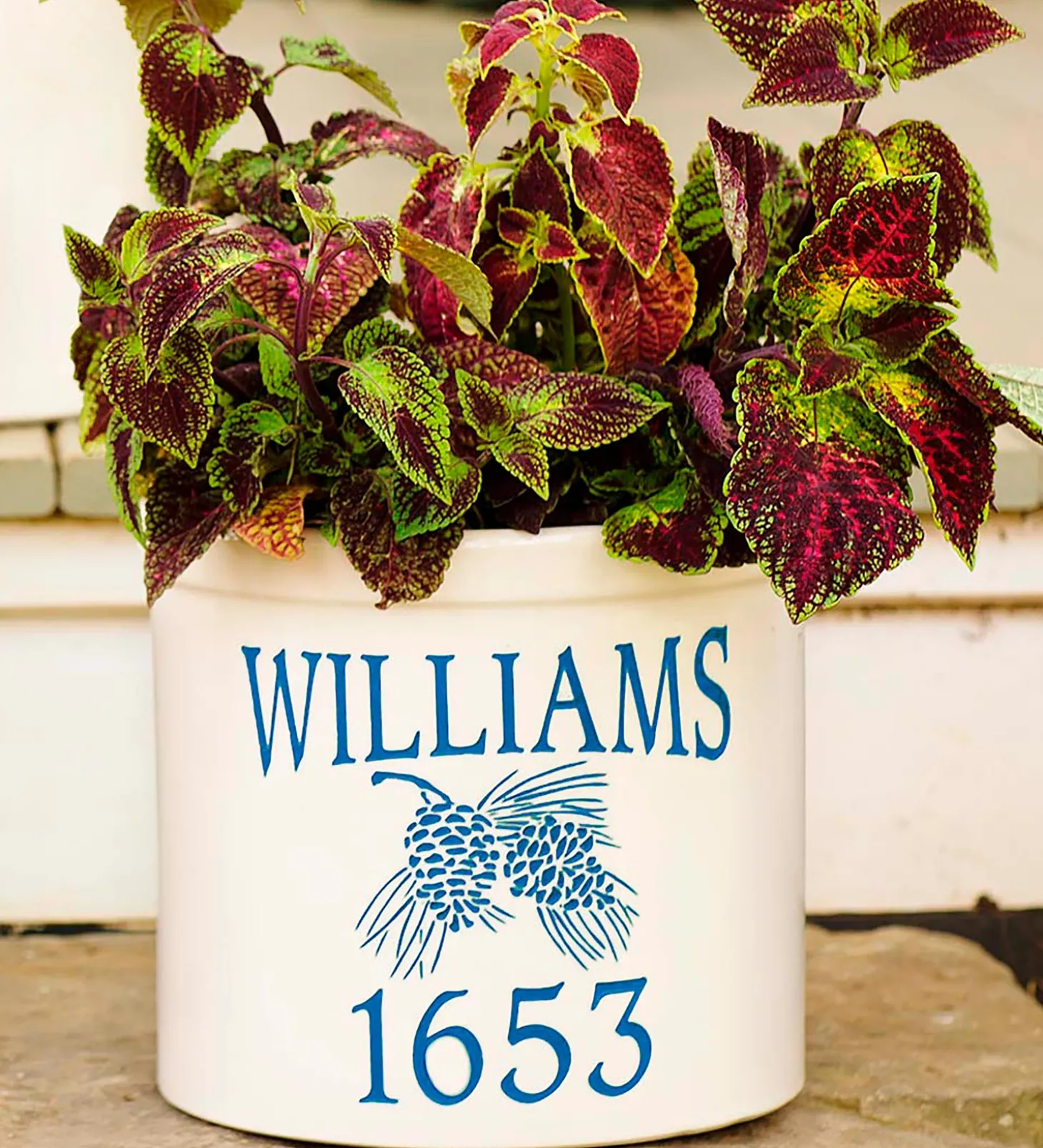 Planters & Vases>Plow & Hearth Personalized Pine Cone Crock