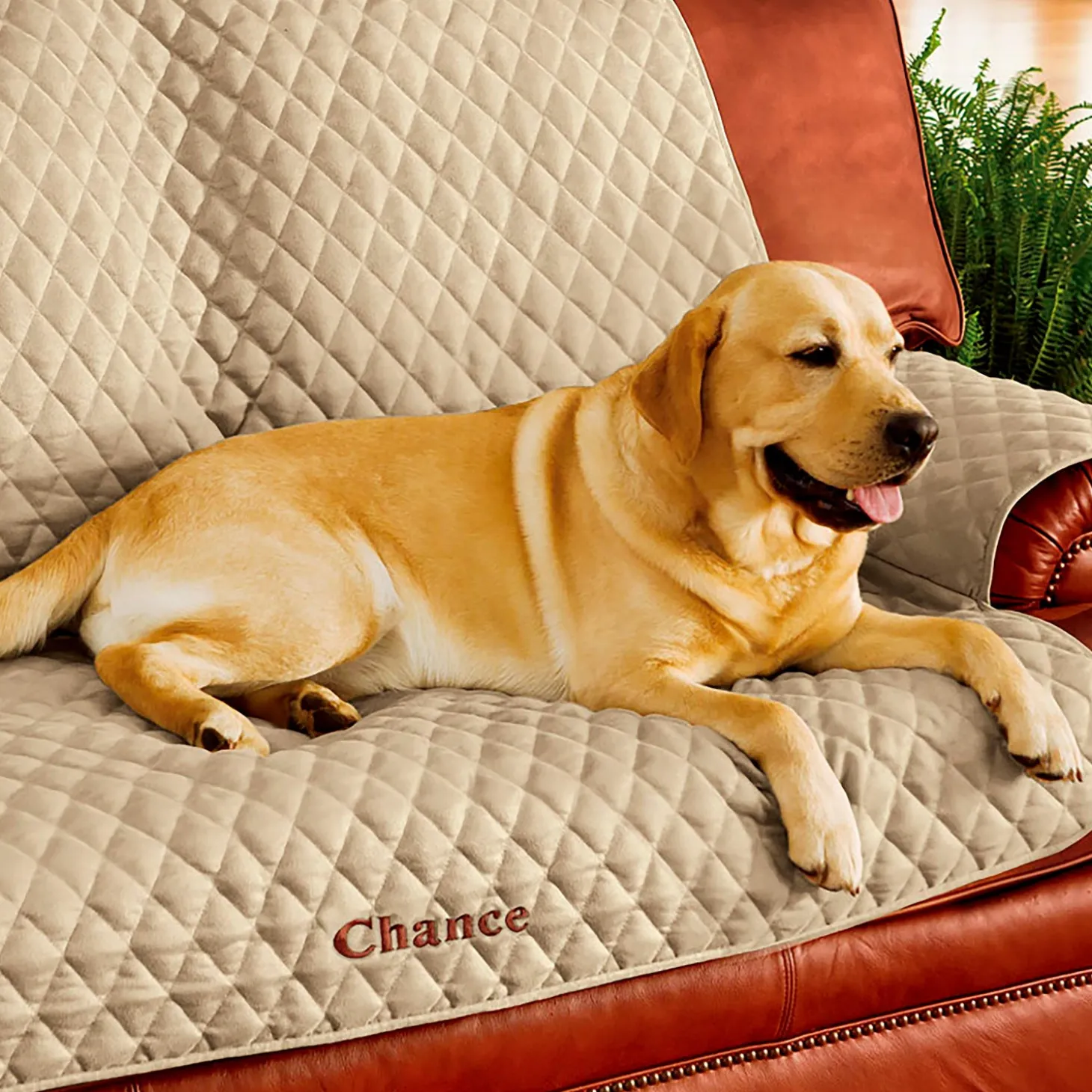 Furniture Covers | Pet Products>Plow & Hearth Pet Loveseat Polyester Protective Cover, Blue