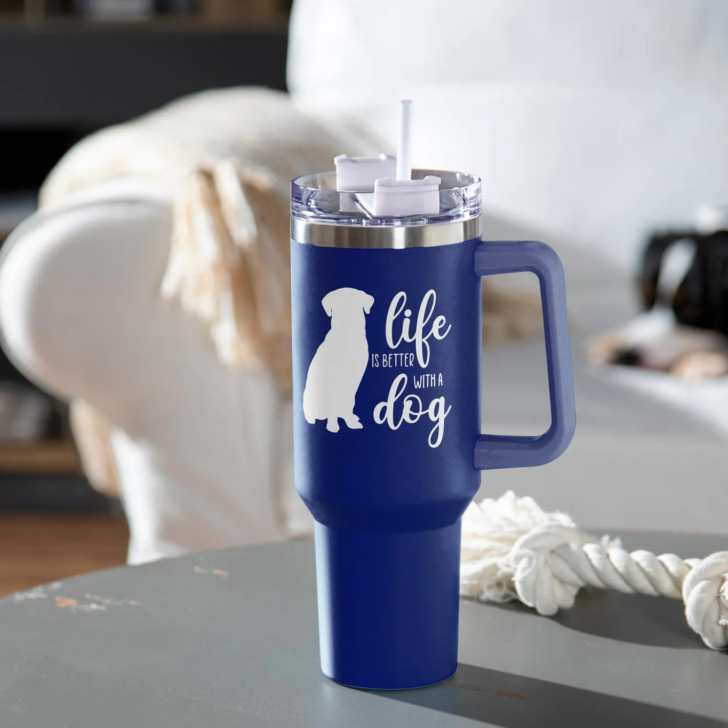 Travel Cups>Plow & Hearth Pet Tumbler Stainless-Steel Canyon Cup w/ Straw, Life Is Better With A Dog, 40oz, Gift Box