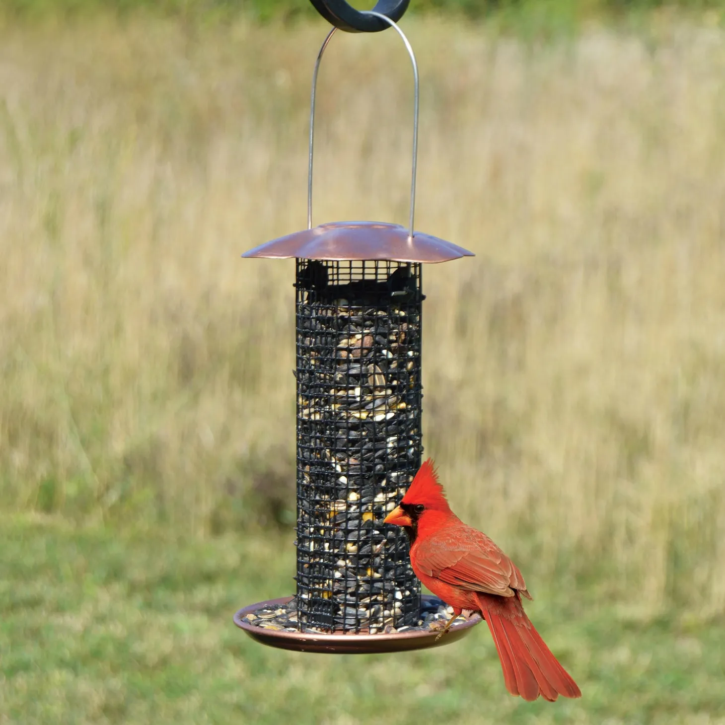 Bird Feeders>Plow & Hearth Petite Sunflower Seed Bird Feeder Copper