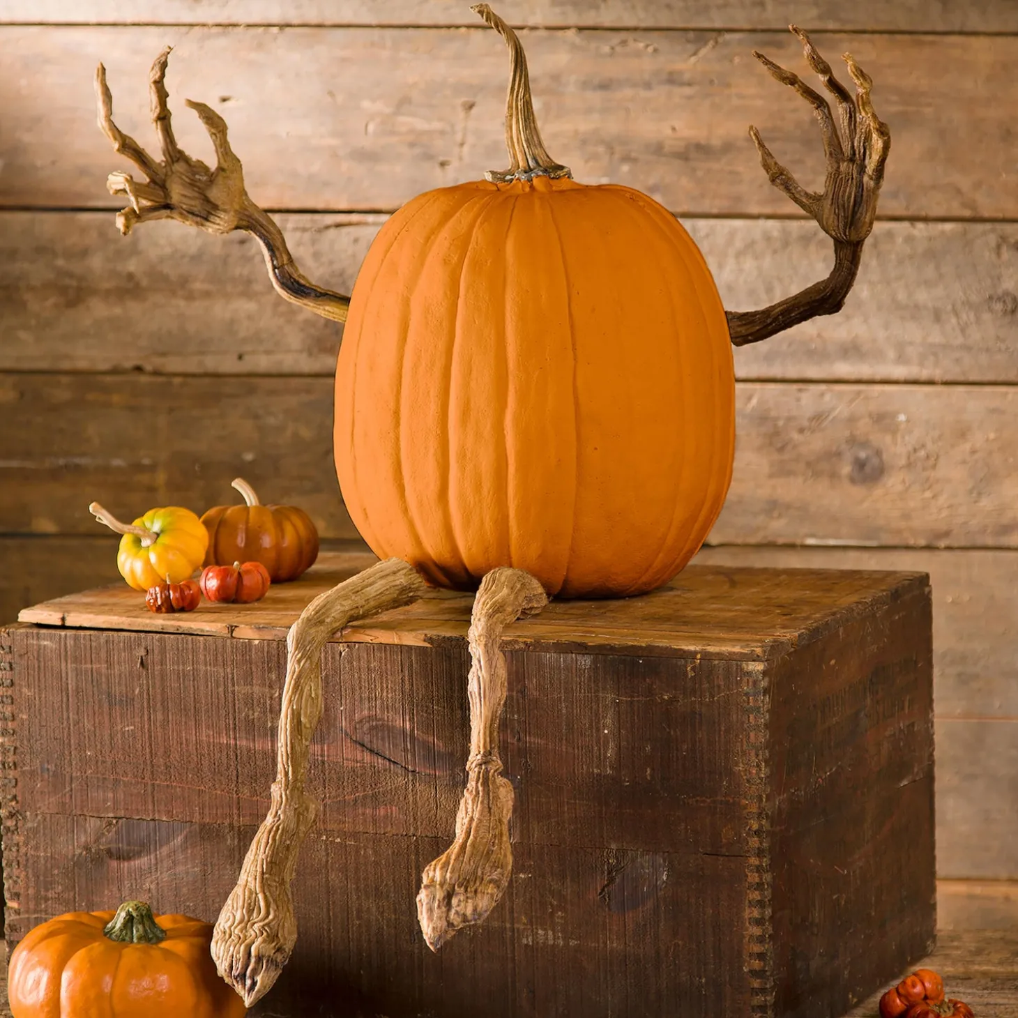 Decorative Accents>Plow & Hearth Posable Pumpkin Vine Arms and Legs Set