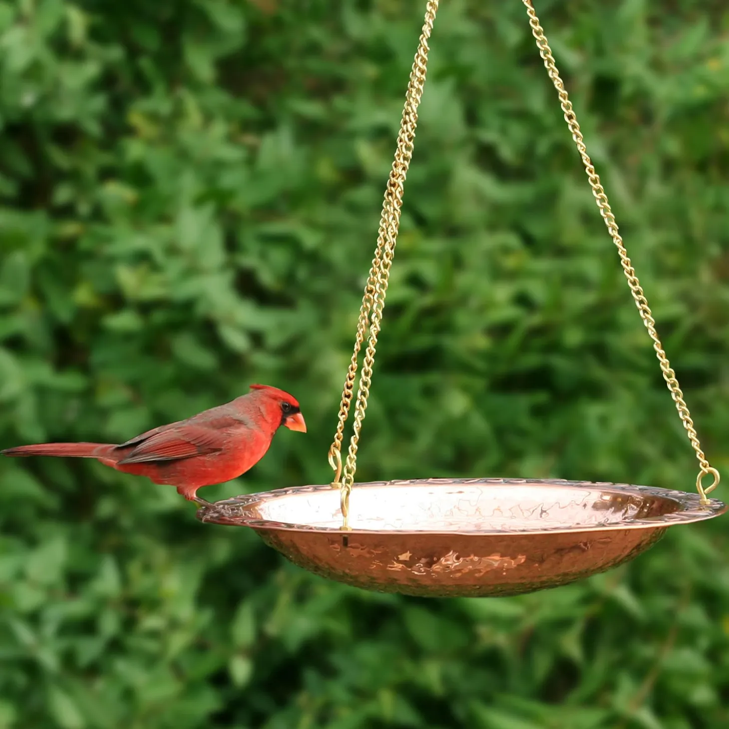 Birdbaths>Plow & Hearth Pure Copper Hanging Birdbath on 17" Long Brass Chain with Hook