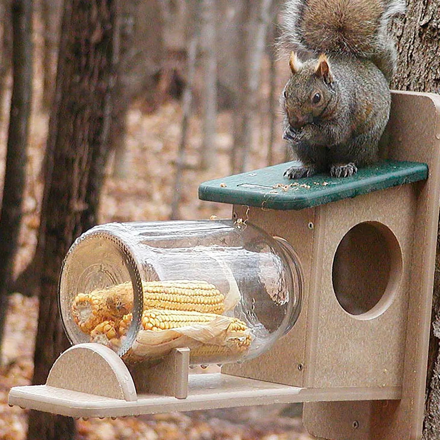 Bird Feeders | Wildlife Housing>Plow & Hearth Recycled Plastic Corn Jar Squirrel Feeder