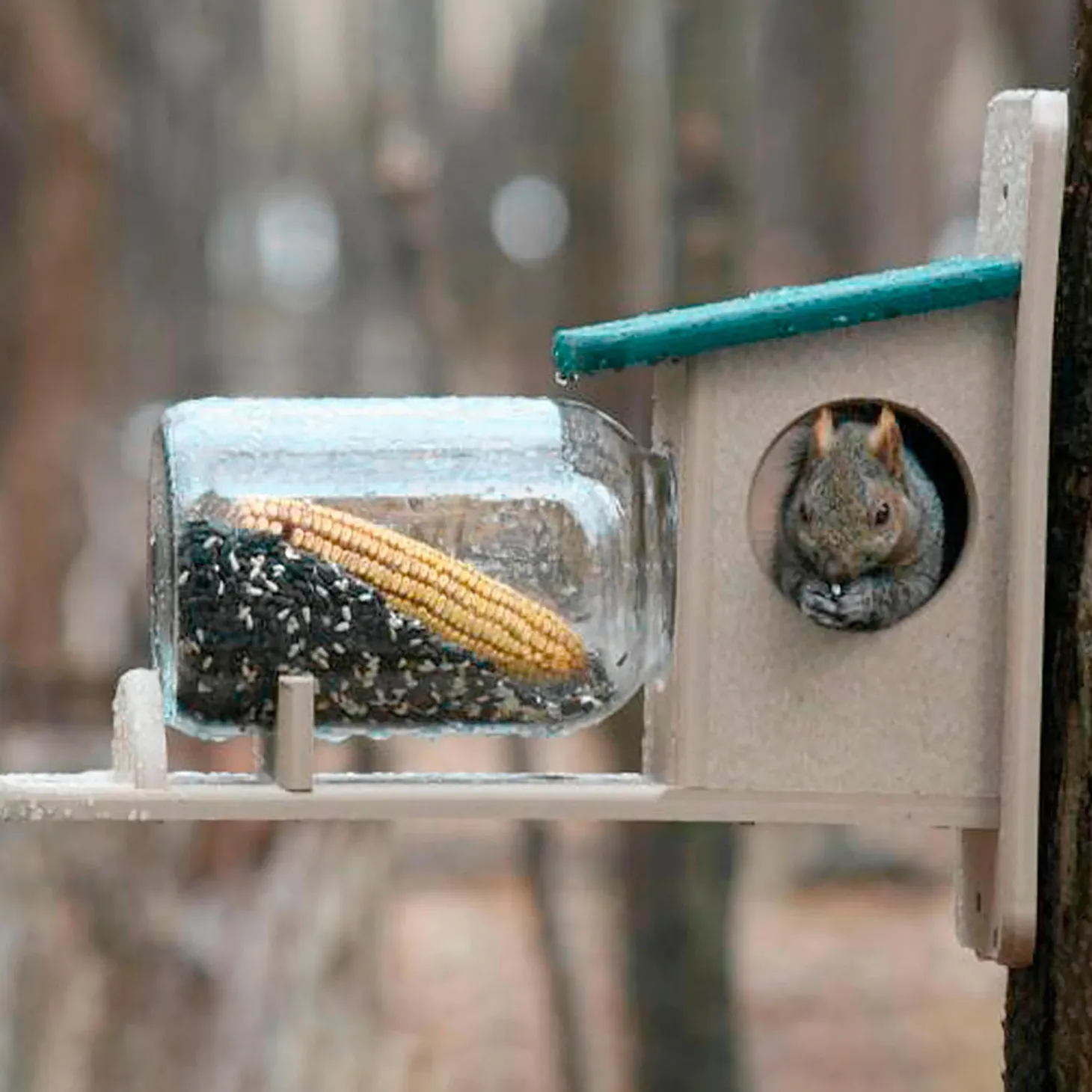 Bird Feeders | Wildlife Housing>Plow & Hearth Recycled Plastic Corn Jar Squirrel Feeder