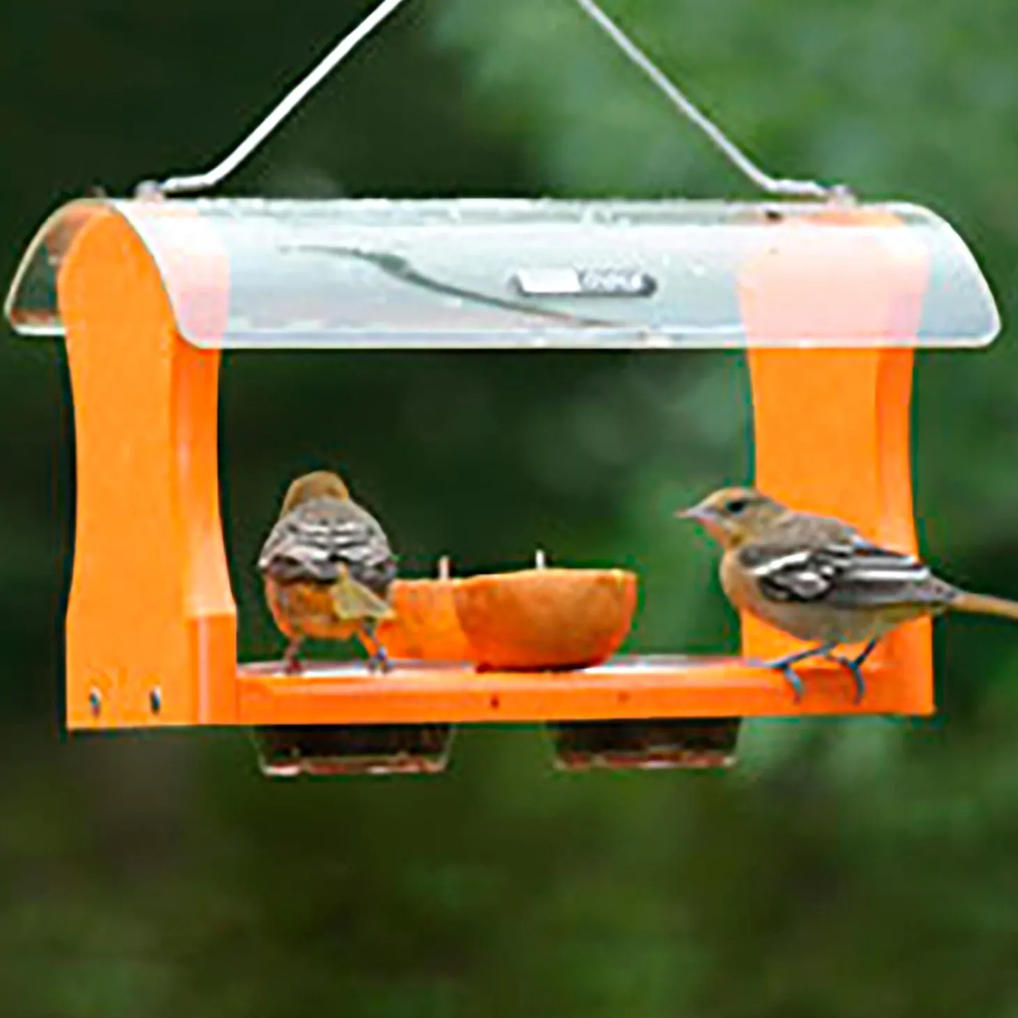 Bird Feeders>Plow & Hearth Recycled Plastic Poly-Lumber Oriole Bird Feeder