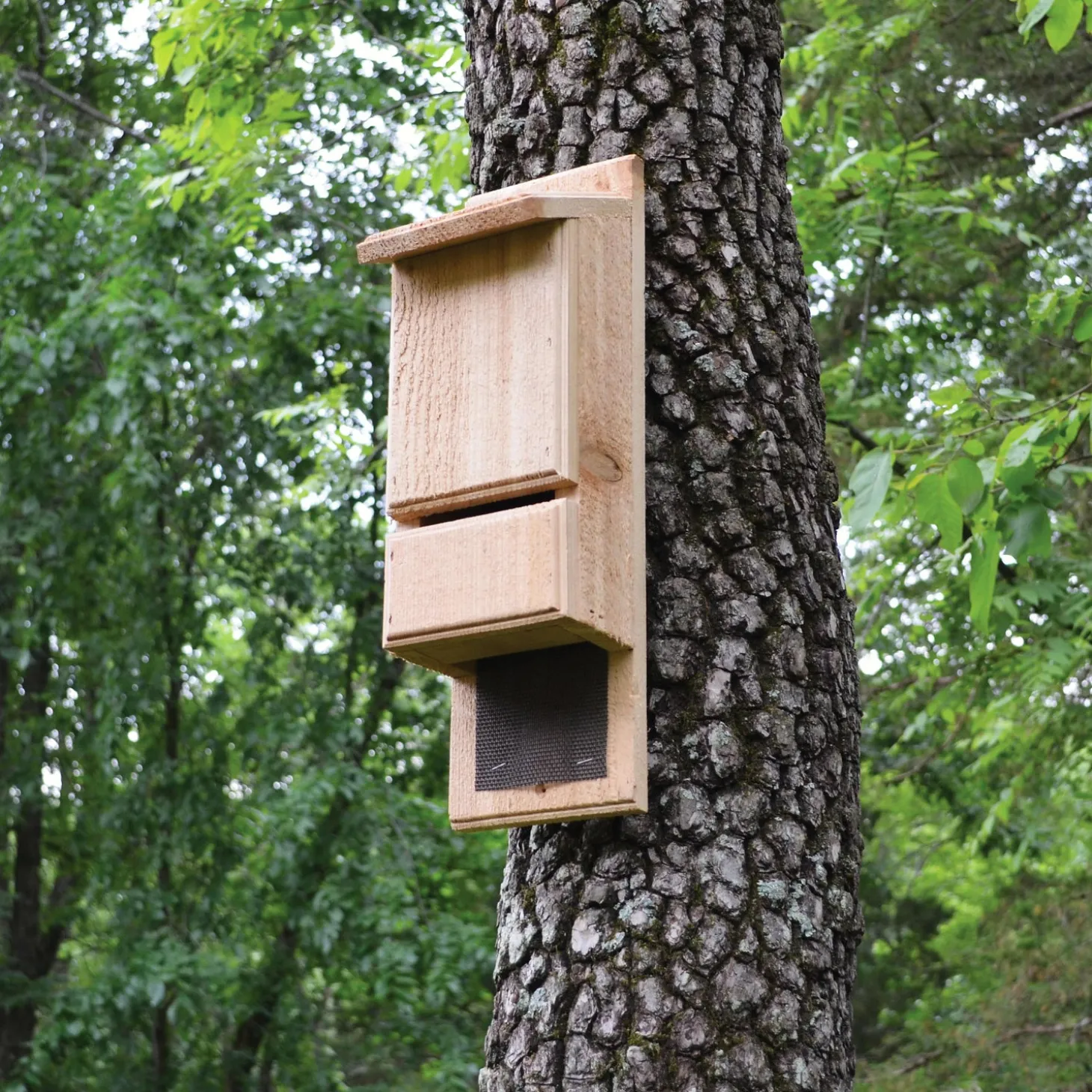 Wildlife Housing>Plow & Hearth Red Cedar Mini Bat Tower