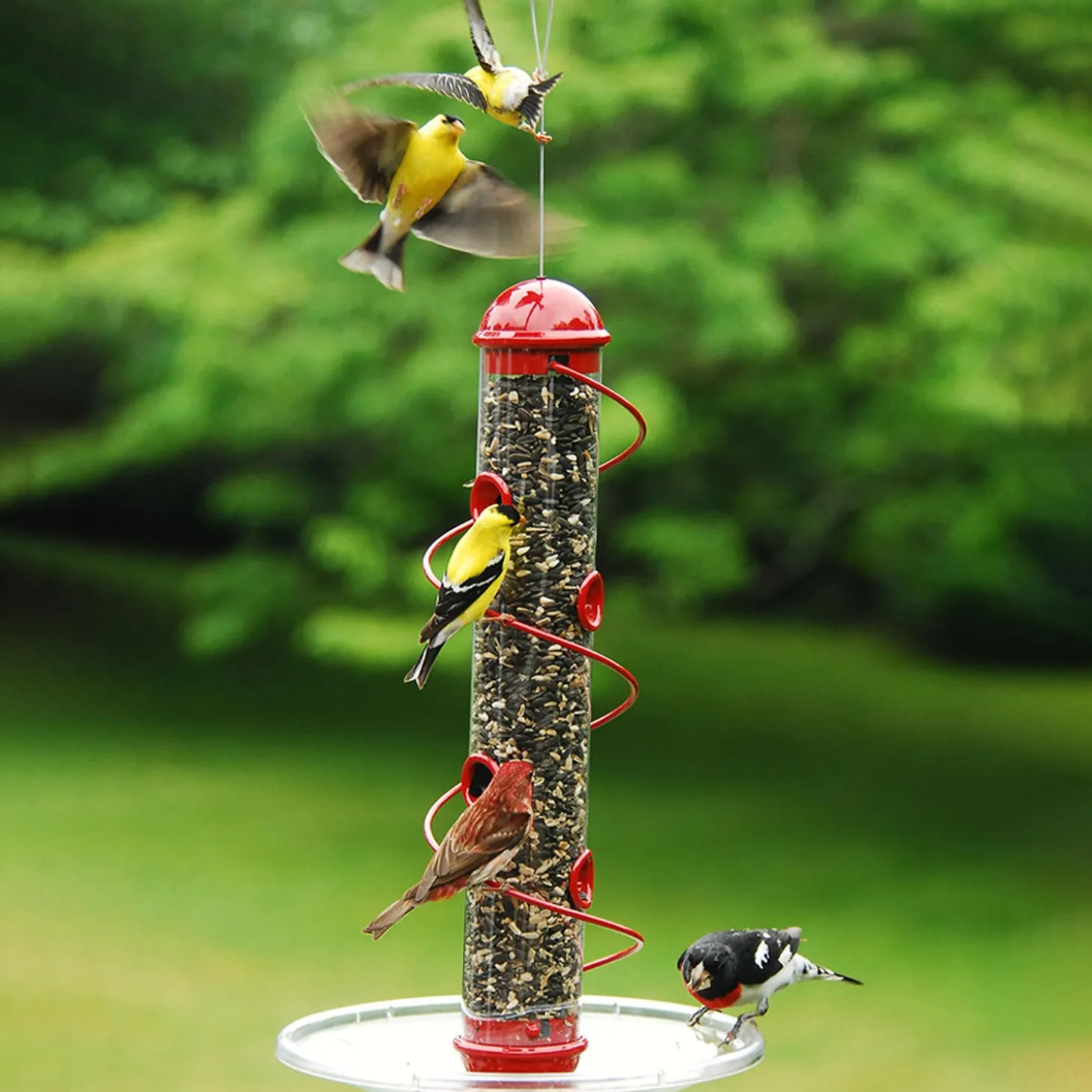 Bird Feeders>Plow & Hearth Spiral-Perch Finch Bird Feeder Red