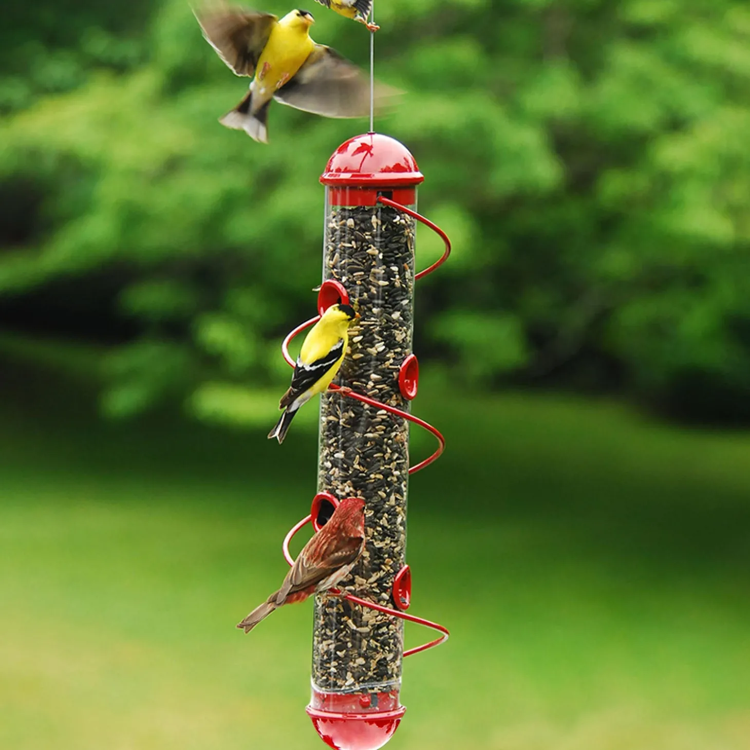 Bird Feeders>Plow & Hearth Spiral-Perch Finch Bird Feeder Red