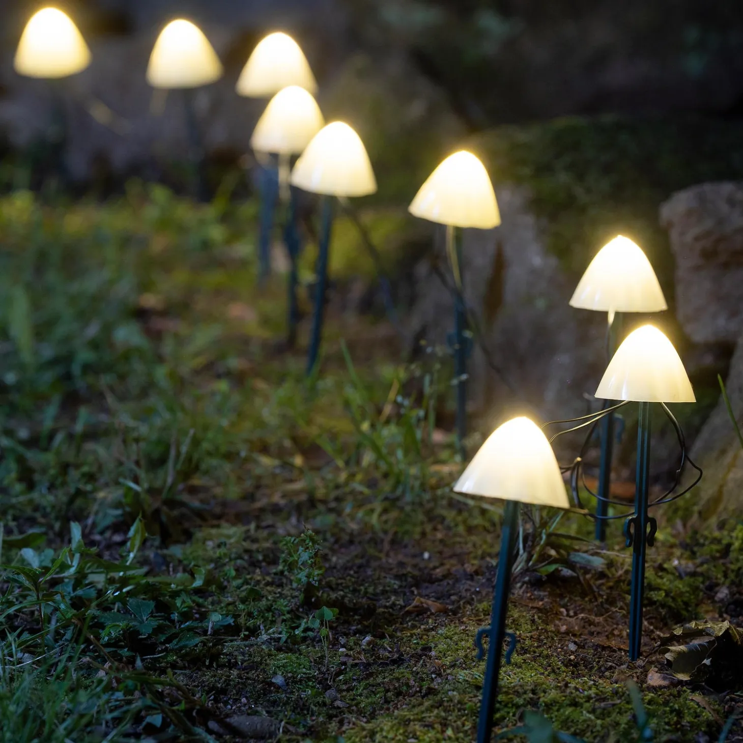 Garden Stakes | Solar Accents>Plow & Hearth Solar Mushroom String Light Stakes