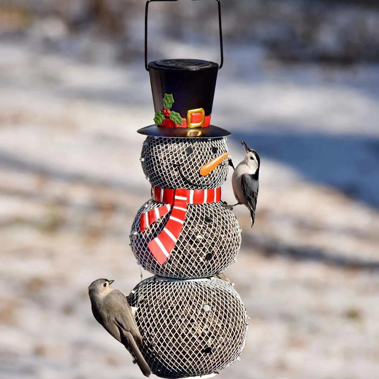 Solar Accents | Bird Feeders>Plow & Hearth Solar Snowman Metal Mesh Bird Feeder