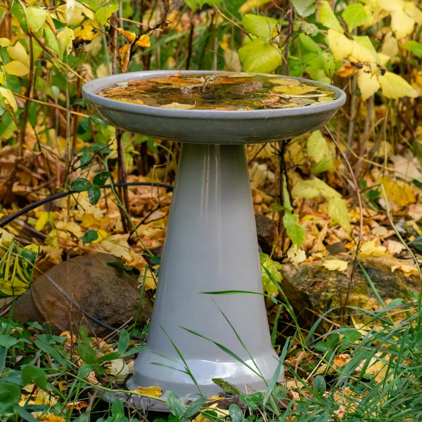 Birdbaths>Plow & Hearth Stoneware Birdbath