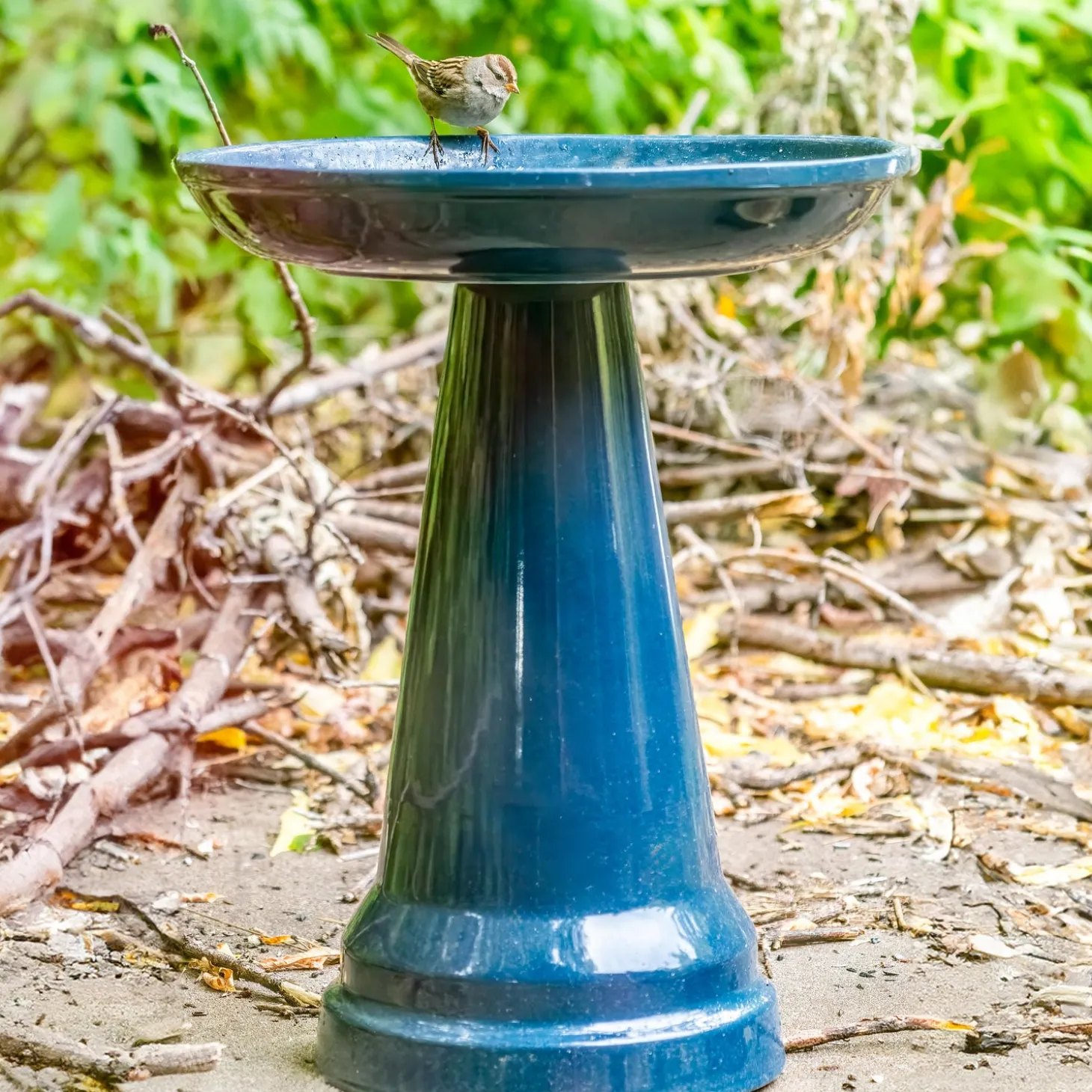 Birdbaths>Plow & Hearth Stoneware Birdbath