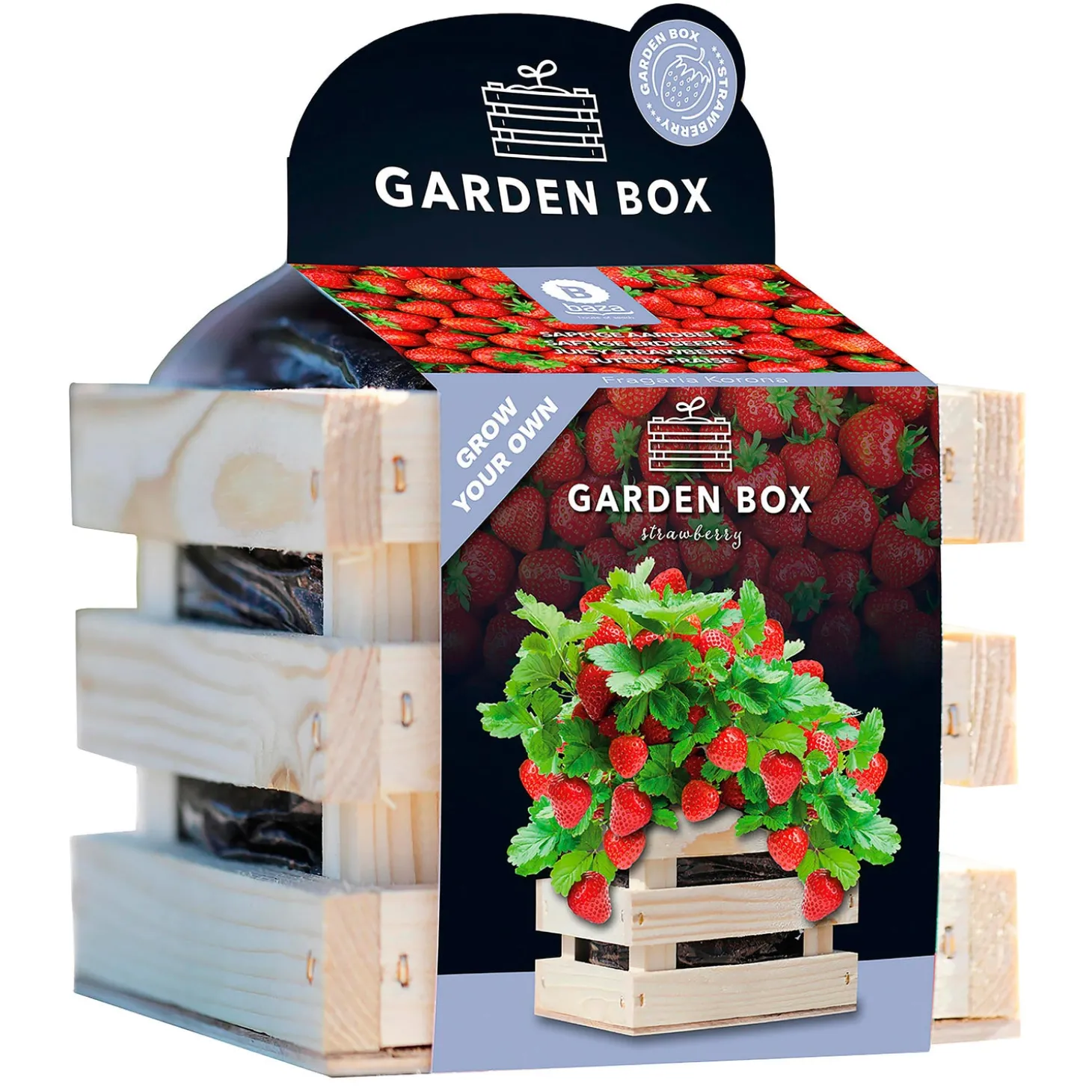 Bulb Gardens & Florals>Plow & Hearth Strawberry Grow Kit in Wooden Crate