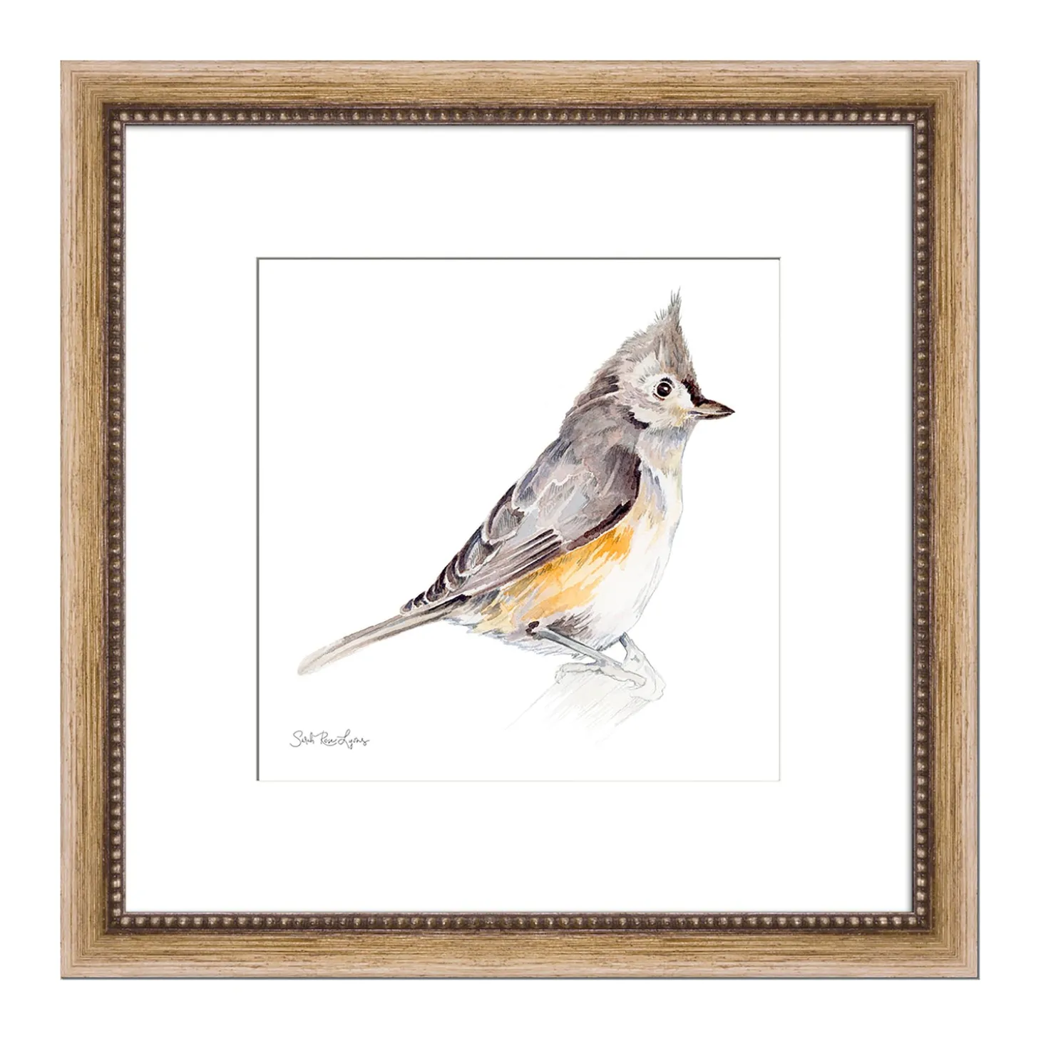 Wall Art>Plow & Hearth Titmouse Framed Wall Art Painting