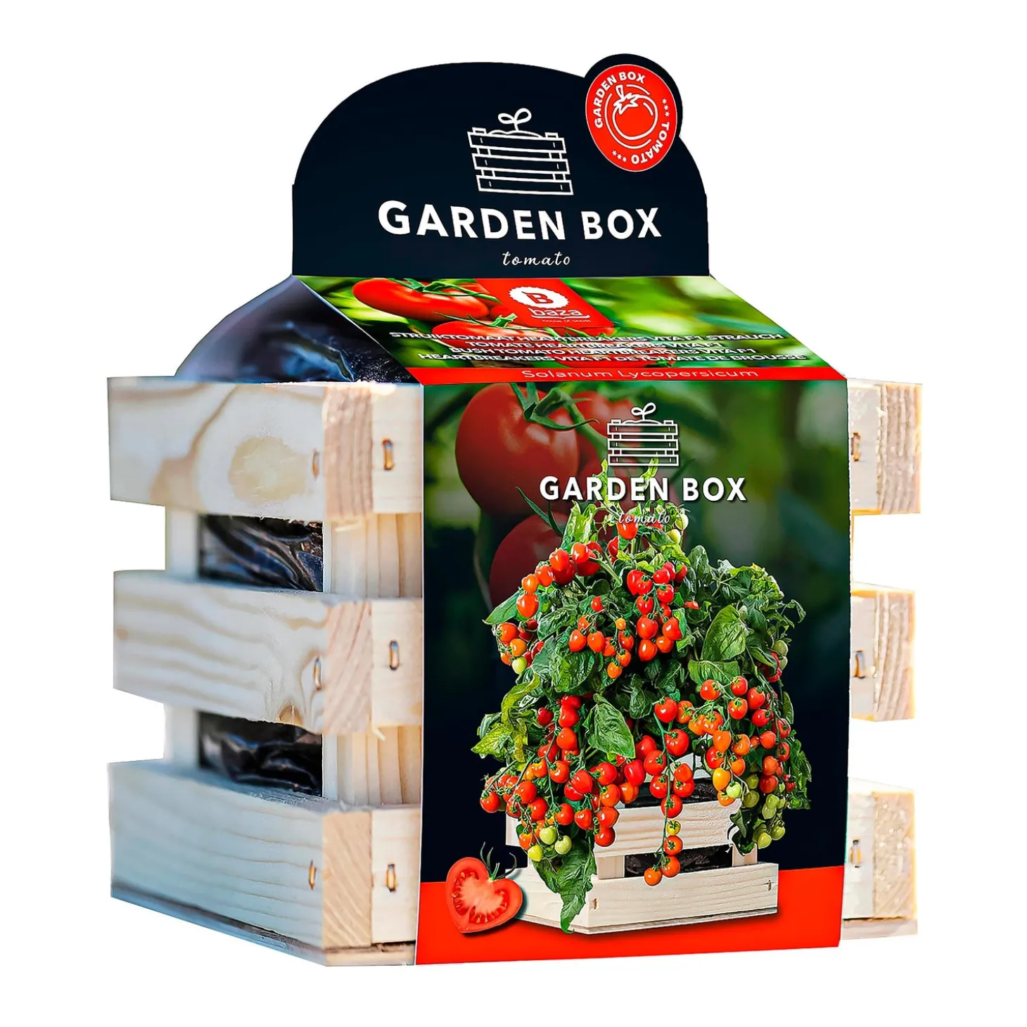 Bulb Gardens & Florals>Plow & Hearth Tomato Grow Kit in Wooden Crate