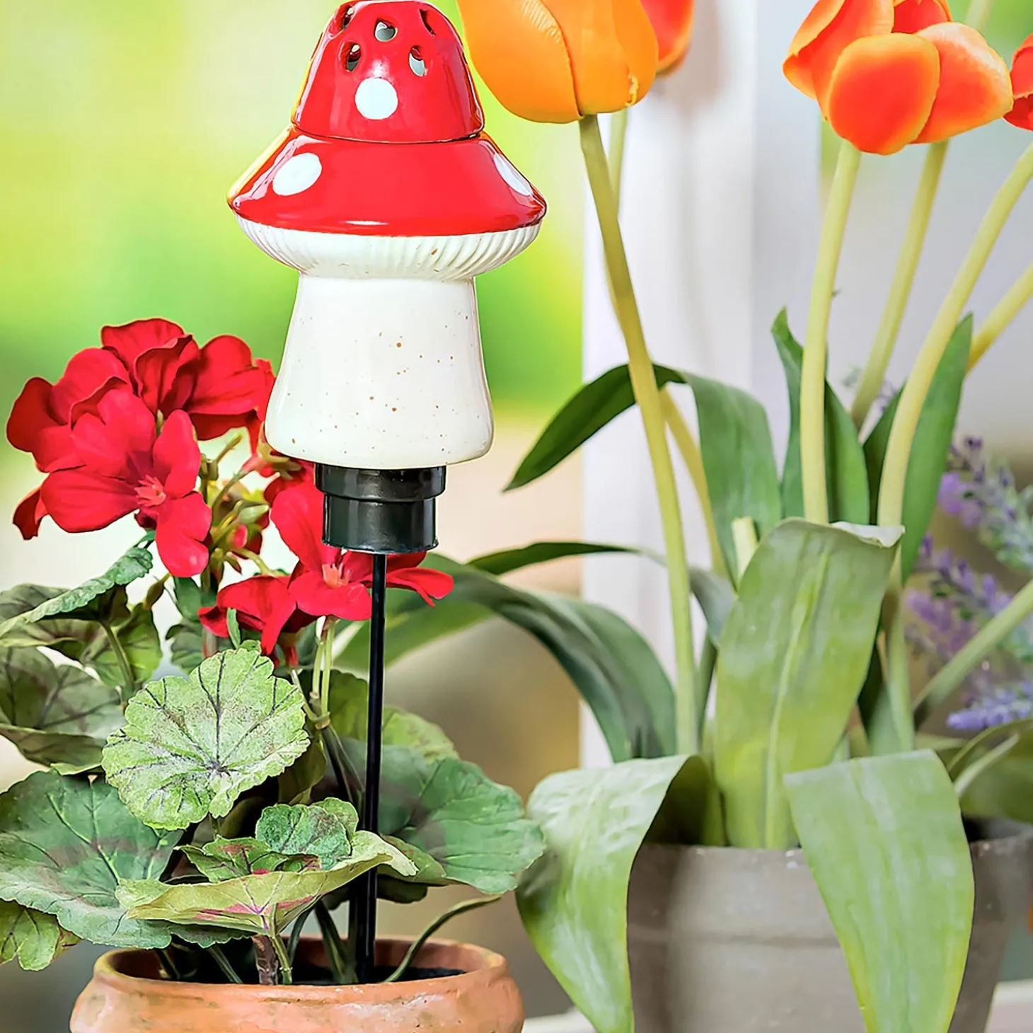 Eco-Friendly Pest Control>Plow & Hearth Whimsical Ceramic Fruit Fly/Gnat Trap with Watering Globe